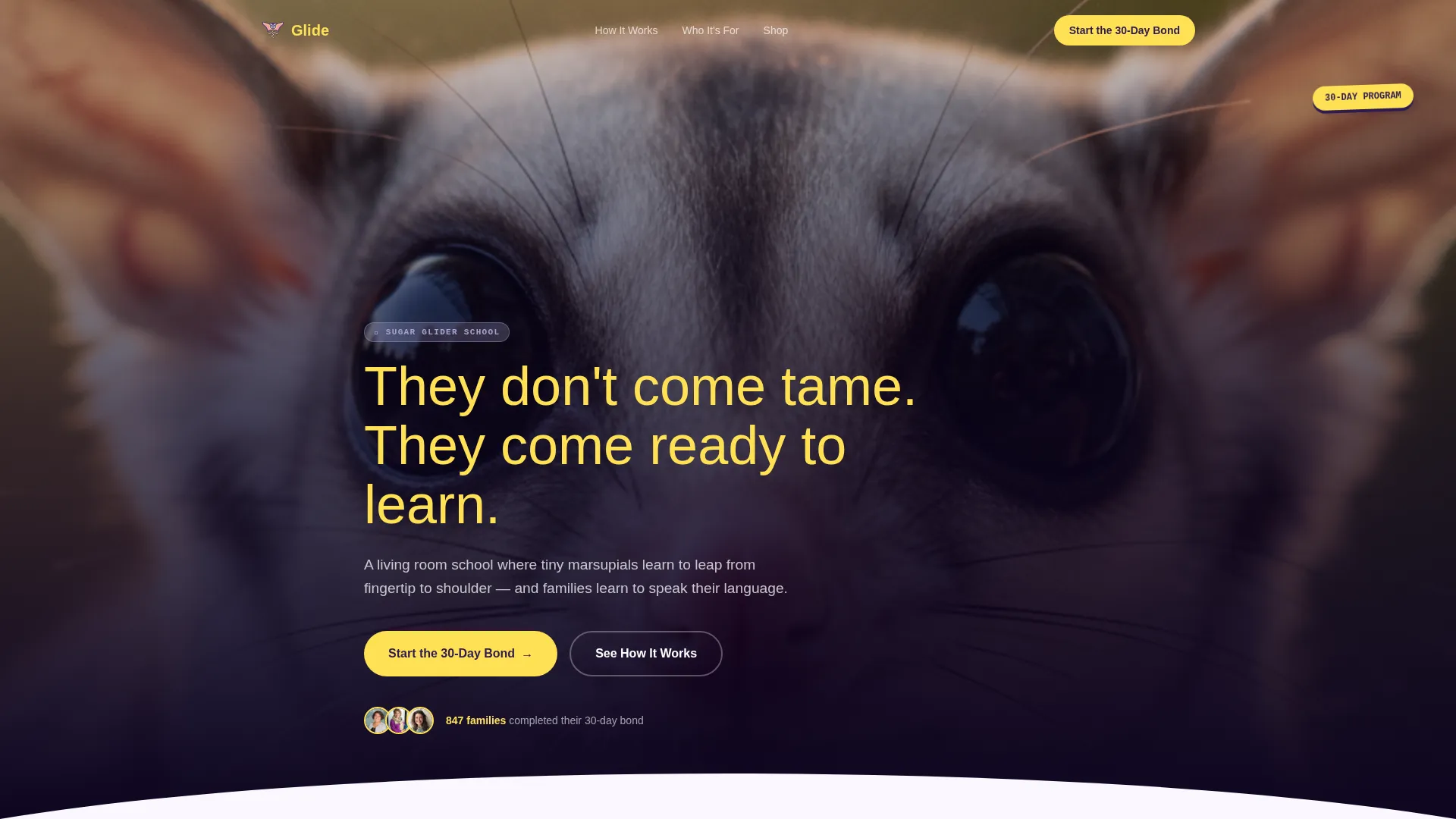 Sugar Glider Training School Landing Page Template