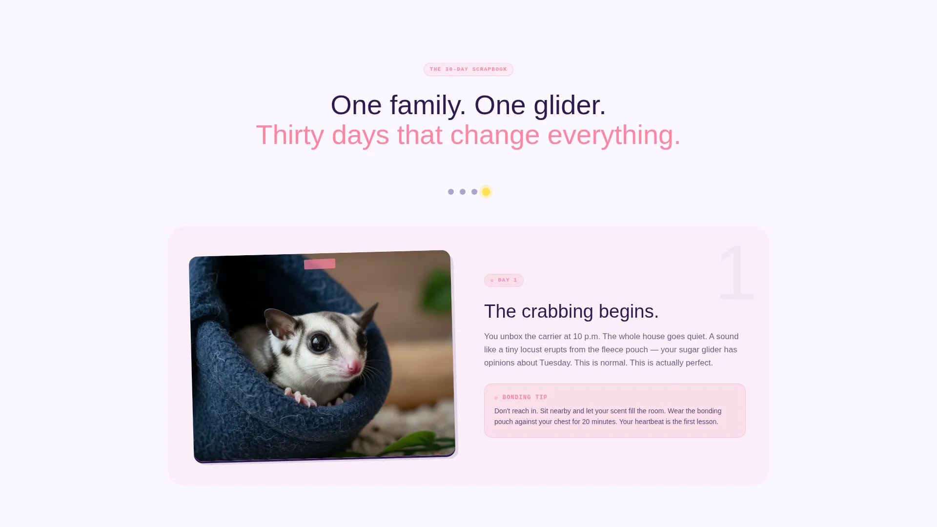 Sugar Glider Training School Landing Page Template
