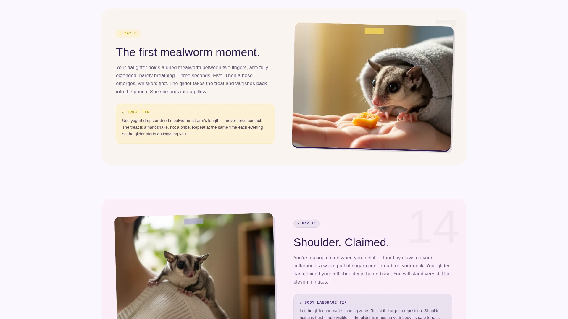 Sugar Glider Training School Landing Page Template