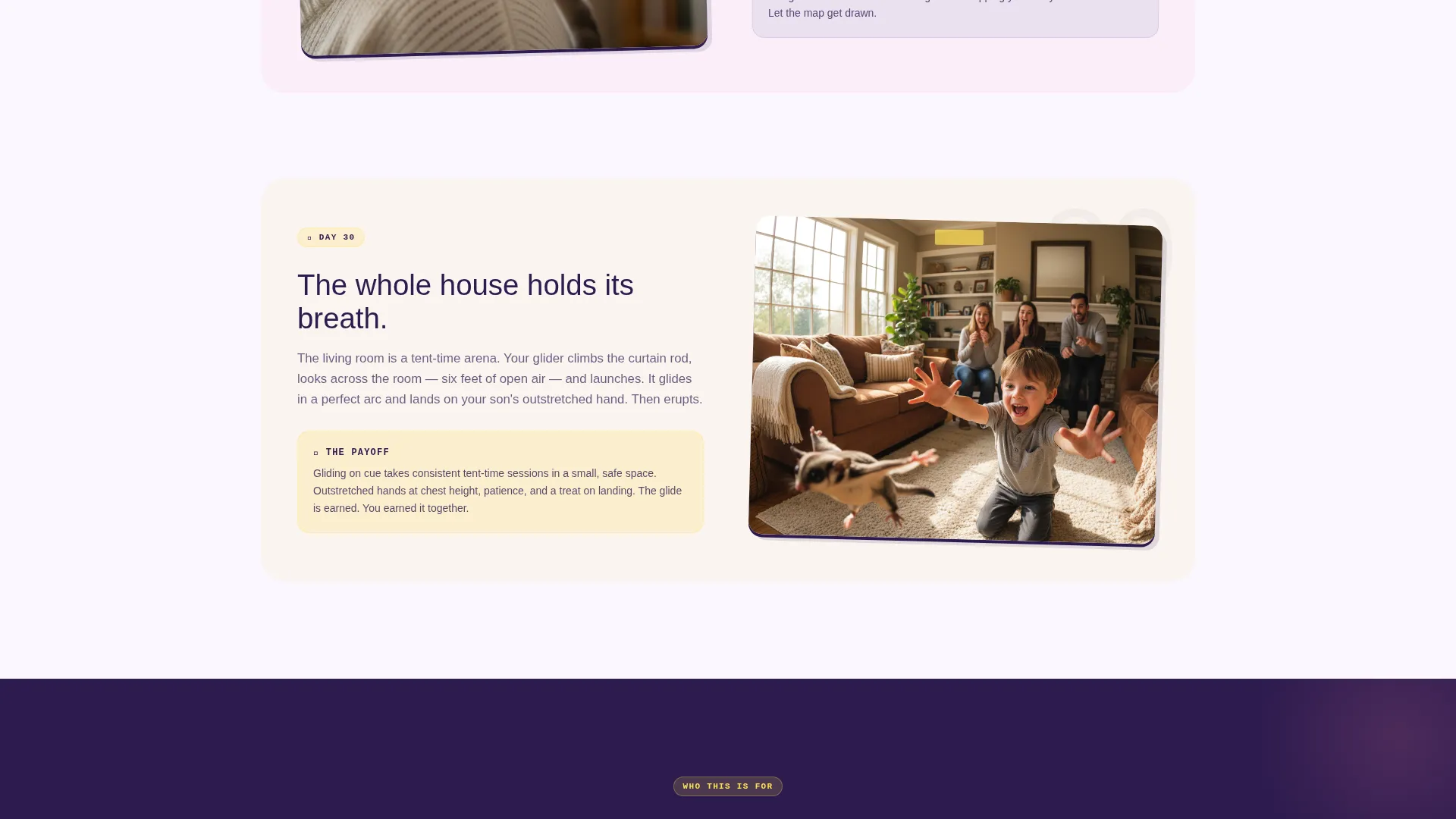 Sugar Glider Training School Landing Page Template