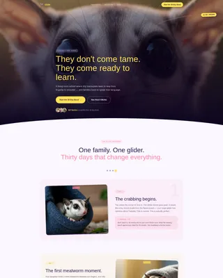 Sugar Glider Training School Landing Page Template