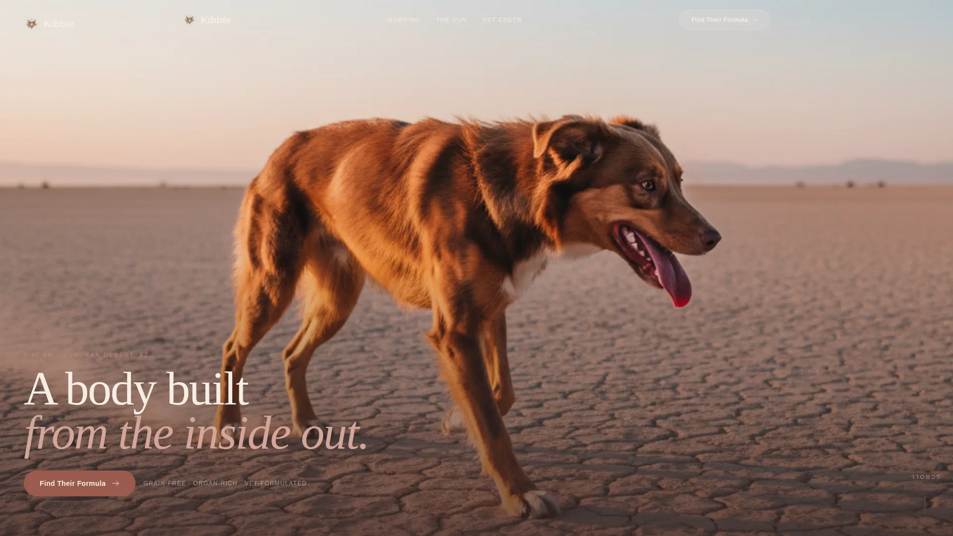 Veterinary Diet Brand Landing Page Template