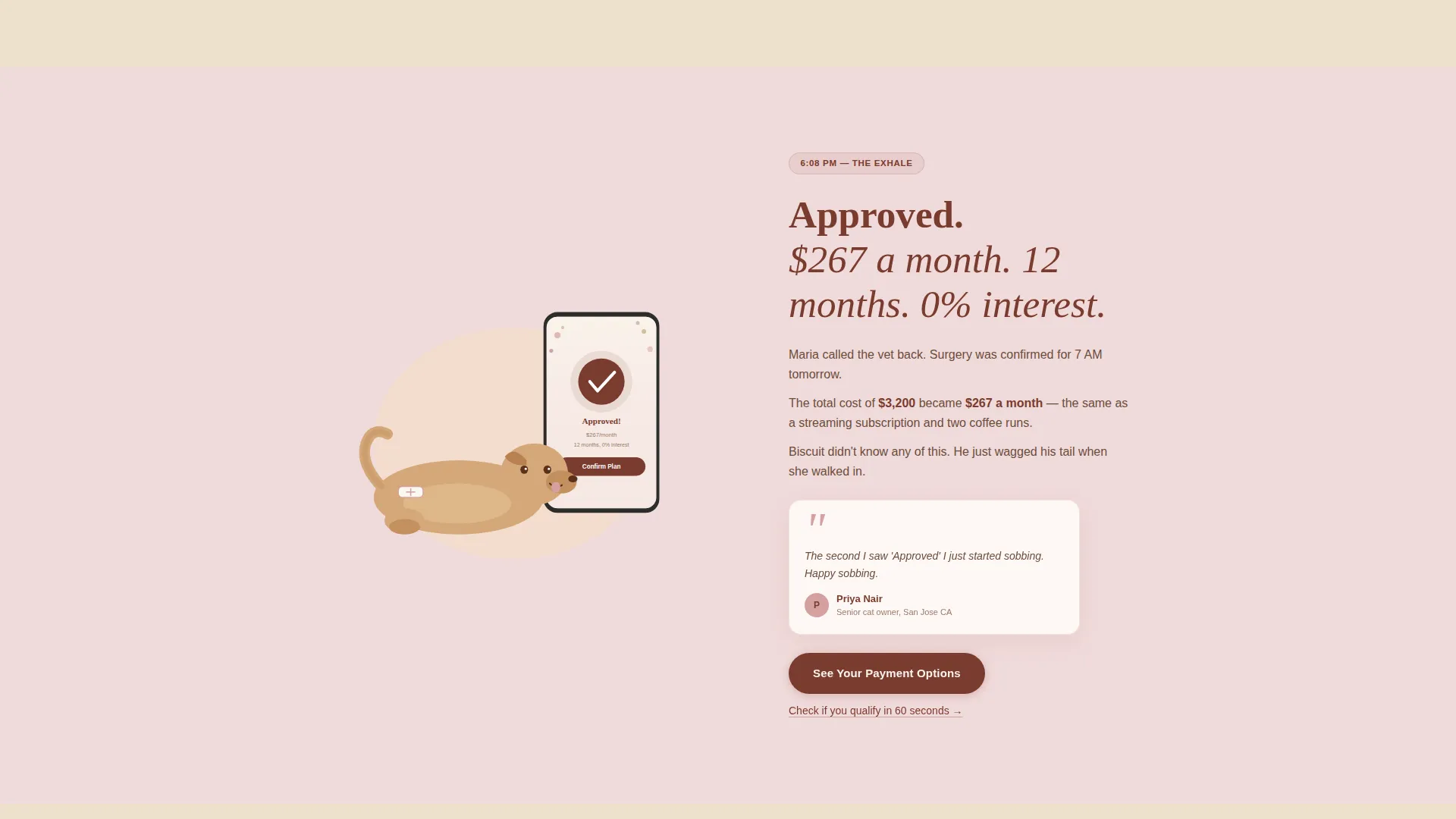 Veterinary Payment Plan Landing Page Template