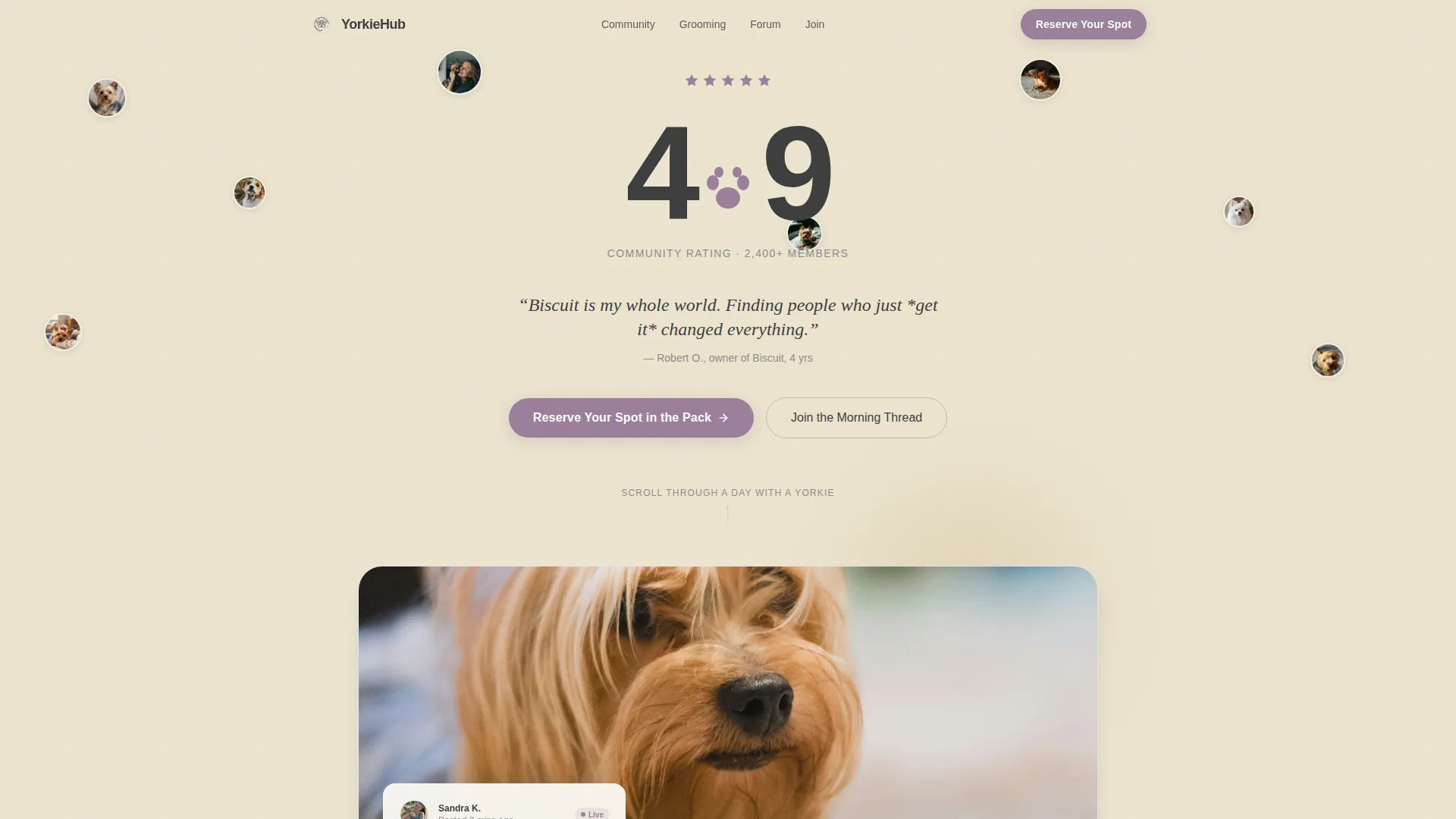 Yorkshire Terrier Community Landing Page Template