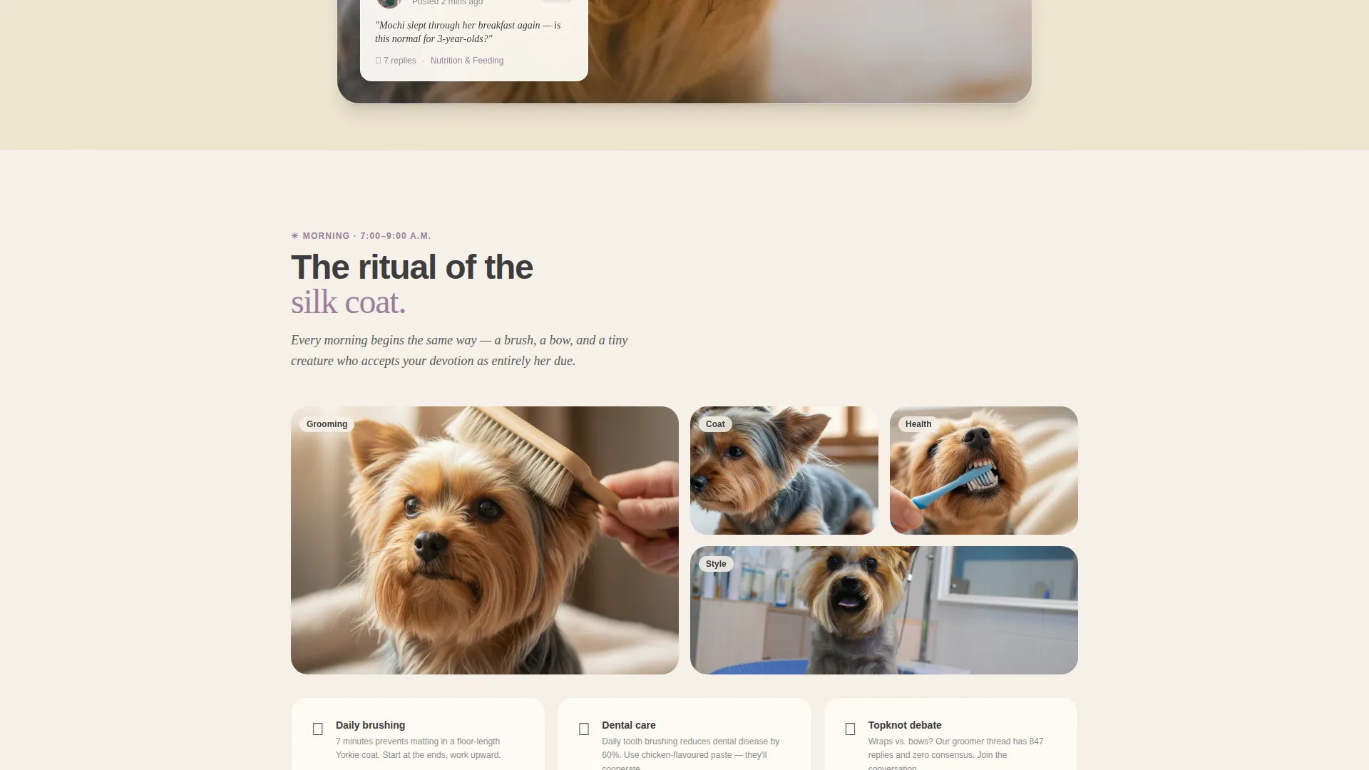 Yorkshire Terrier Community Landing Page Template