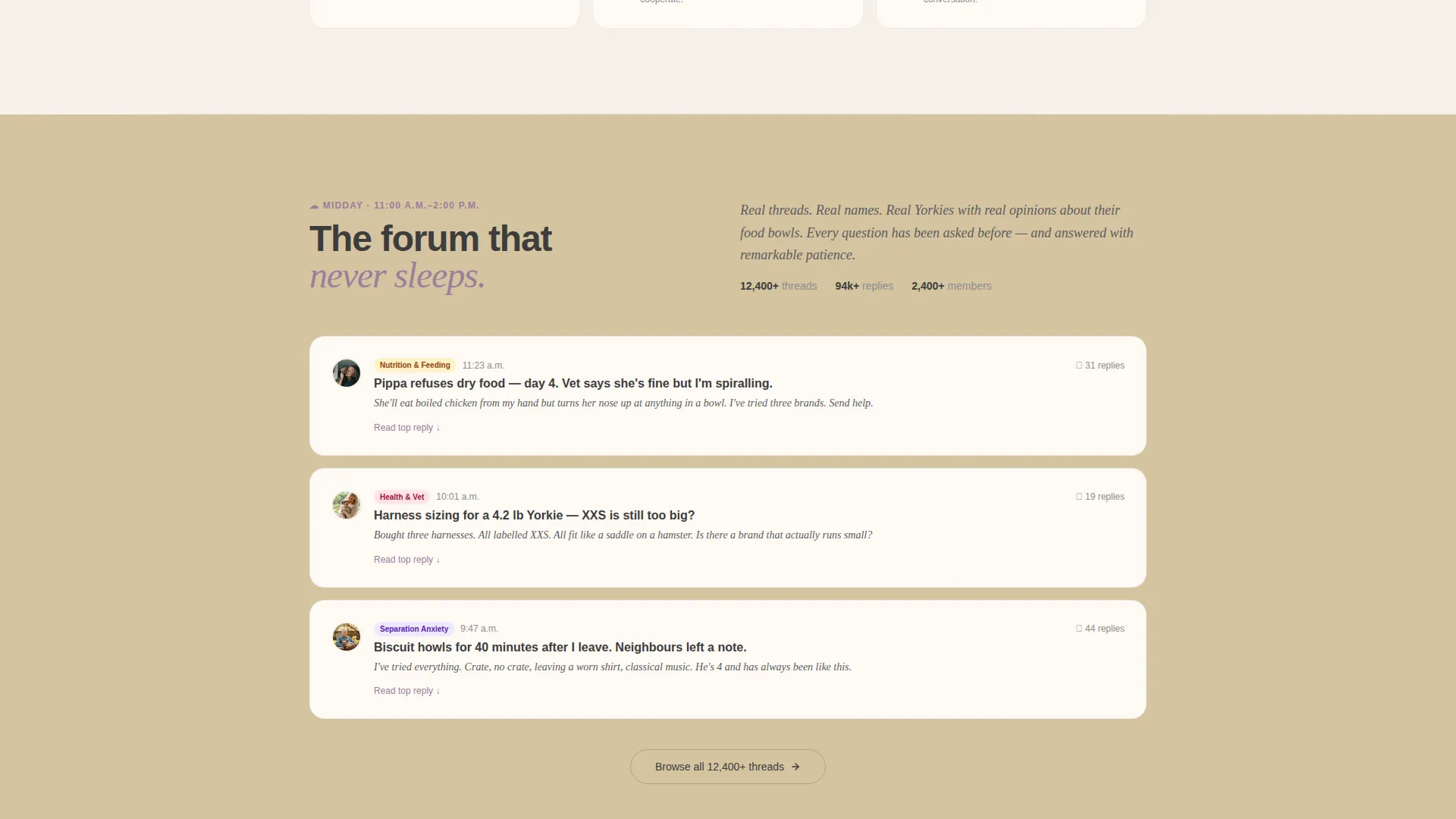 Yorkshire Terrier Community Landing Page Template