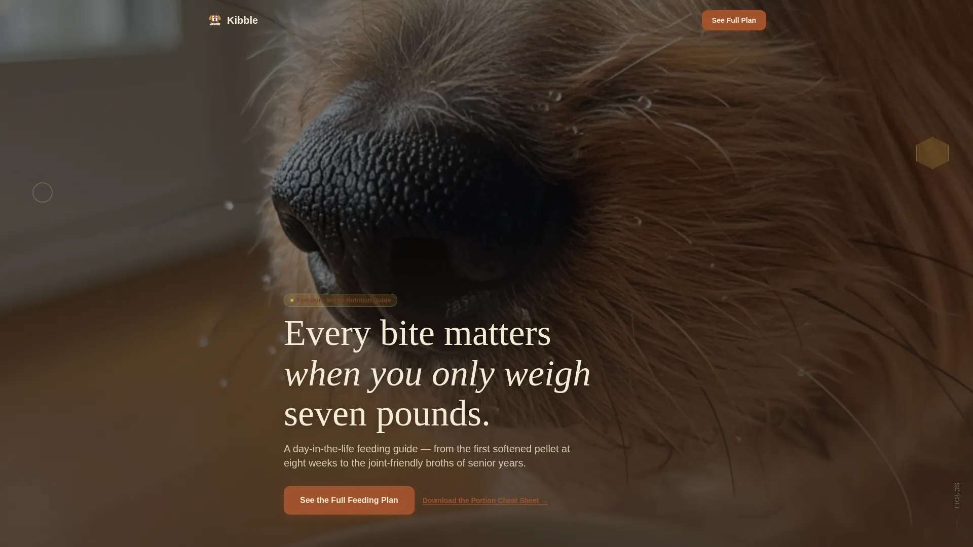 Yorkshire Terrier Diet & Nutrition Landing Page