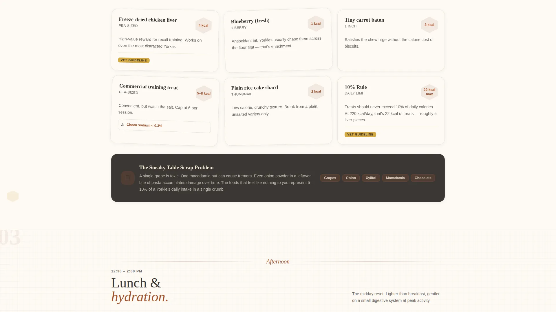 Yorkshire Terrier Diet & Nutrition Landing Page