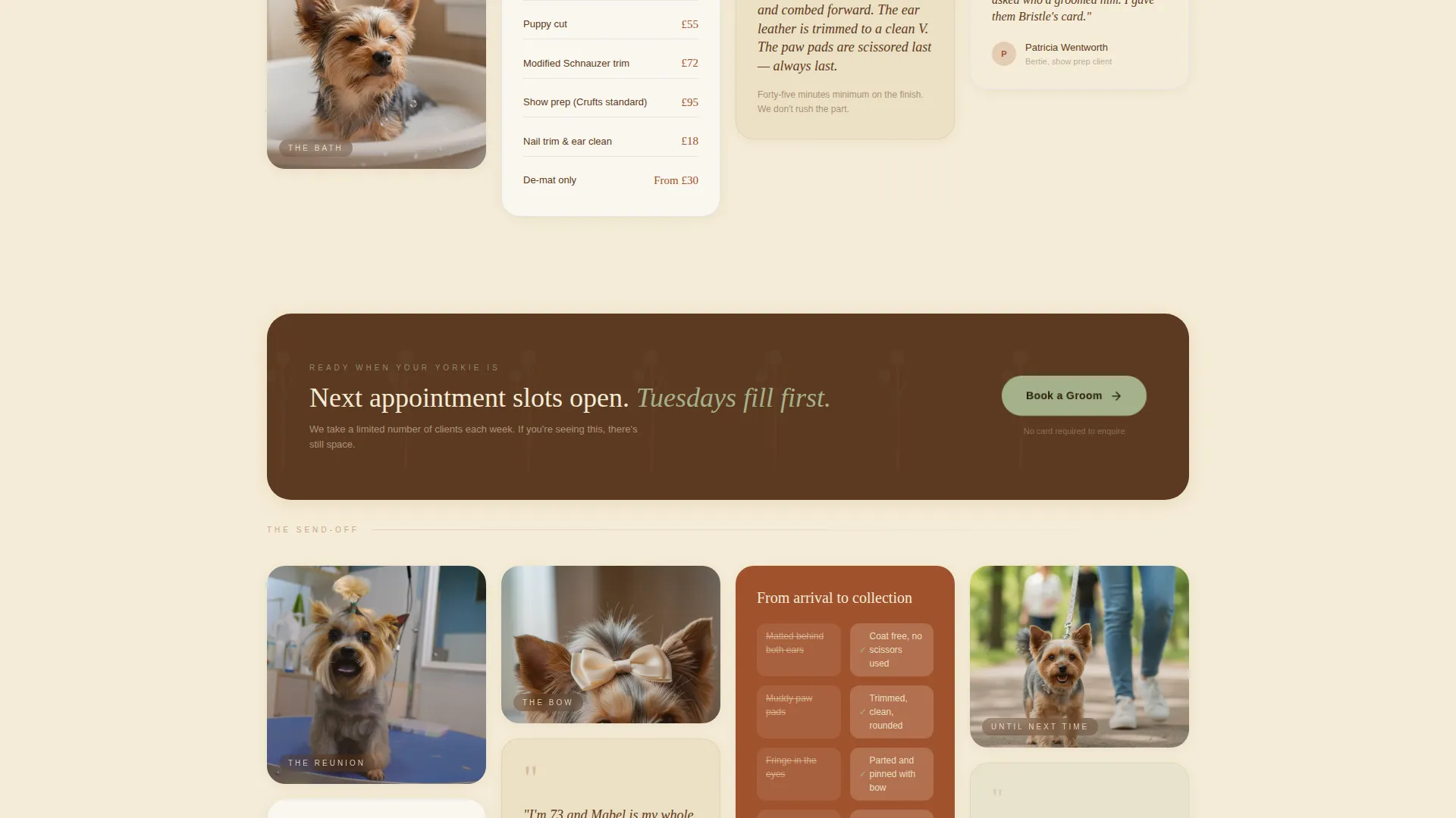 Yorkshire Terrier Grooming Landing Page Template