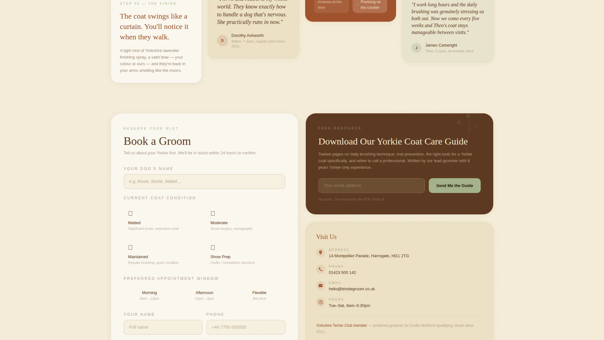 Yorkshire Terrier Grooming Landing Page Template