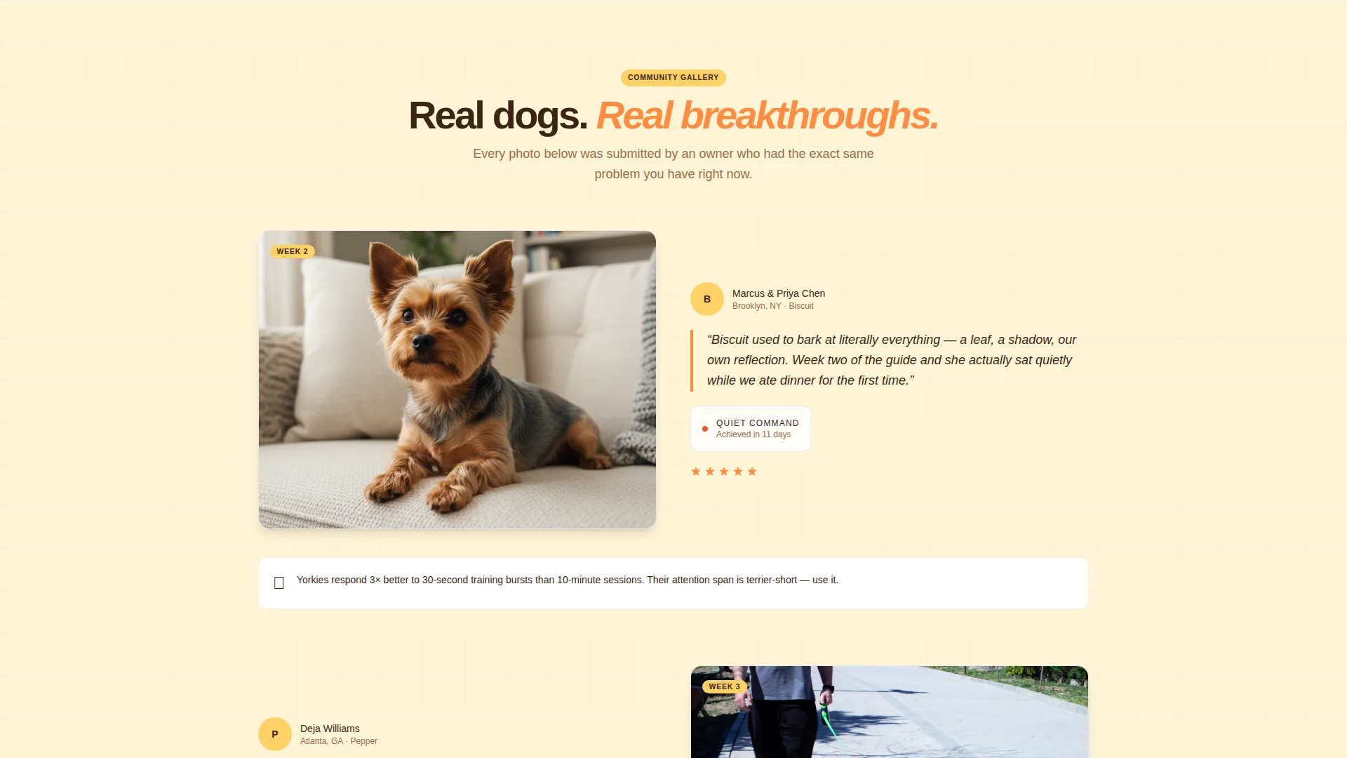 Training Landing Page Template for Pet Coaches