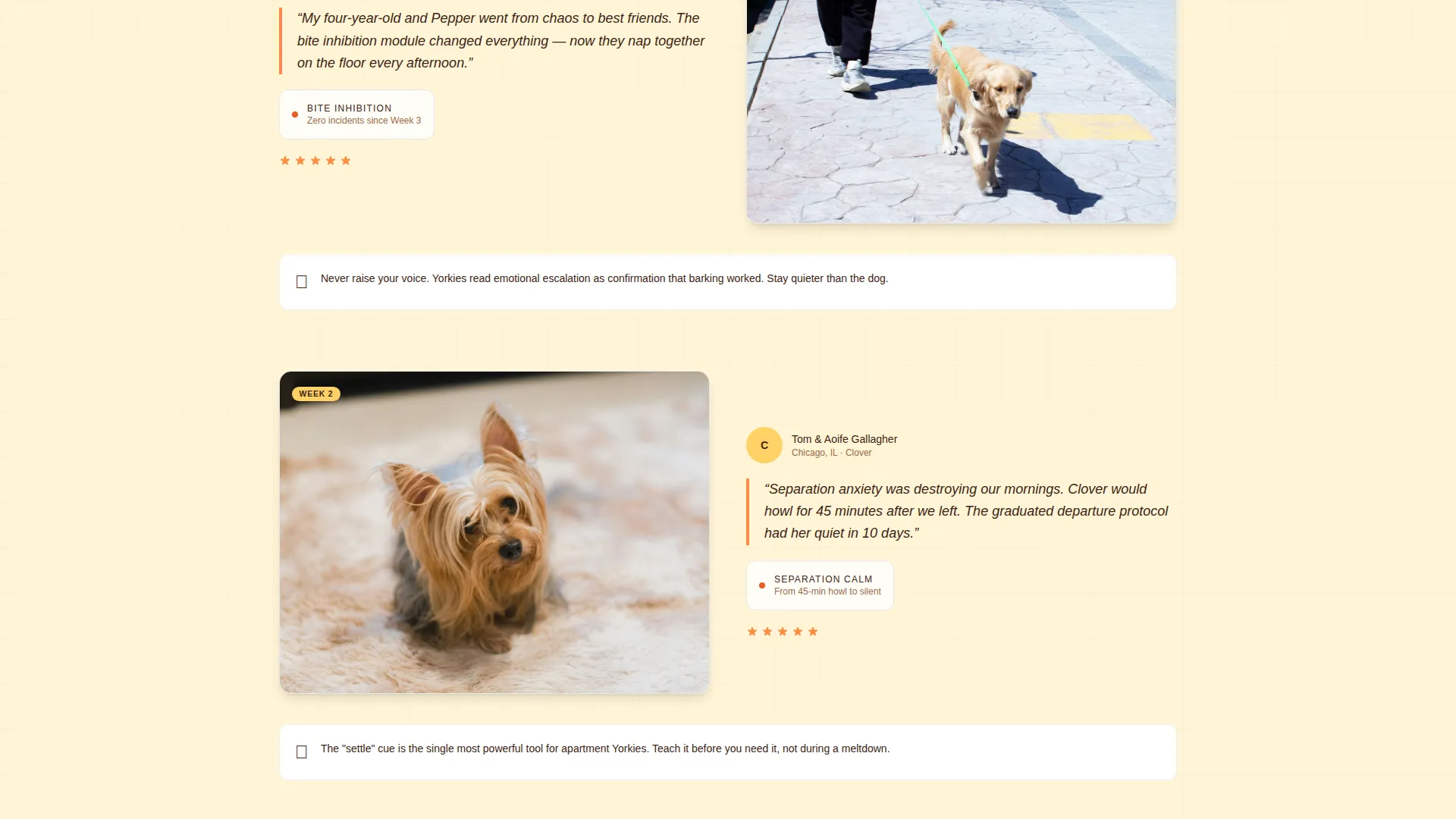 Training Landing Page Template for Pet Coaches
