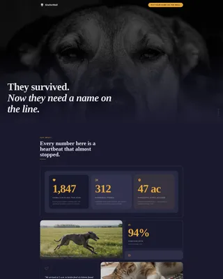 Specialist Charity & Fundraiser Profile Professional Website Template