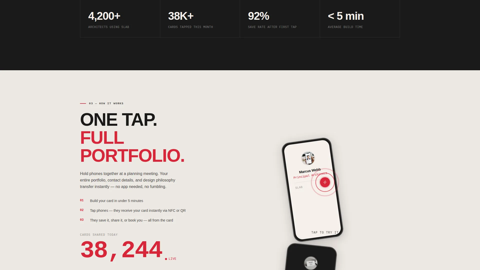 Bold Brutalist Architect Digital Business Card Landing Page