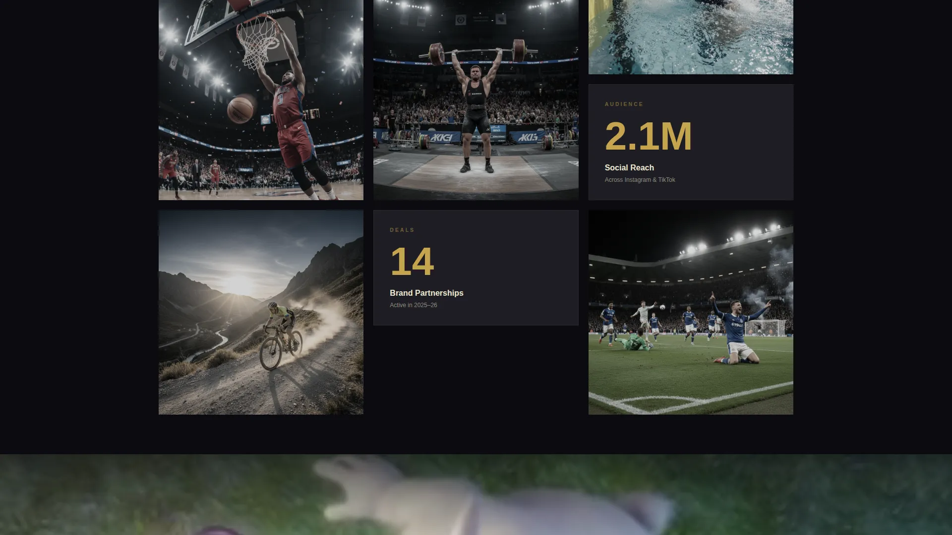 Athlete Portfolio Landing Page Template