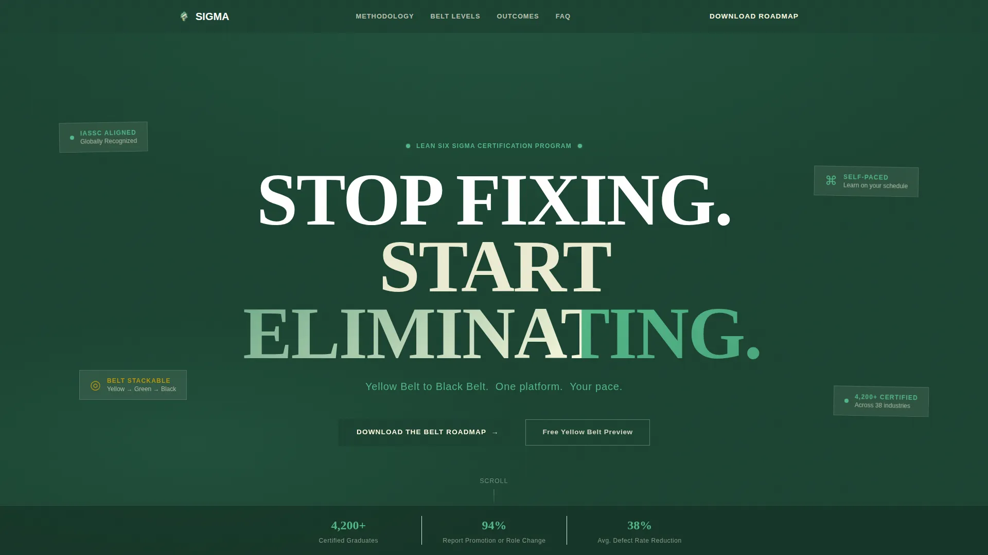 Lean Six Sigma Certification Landing Page Template