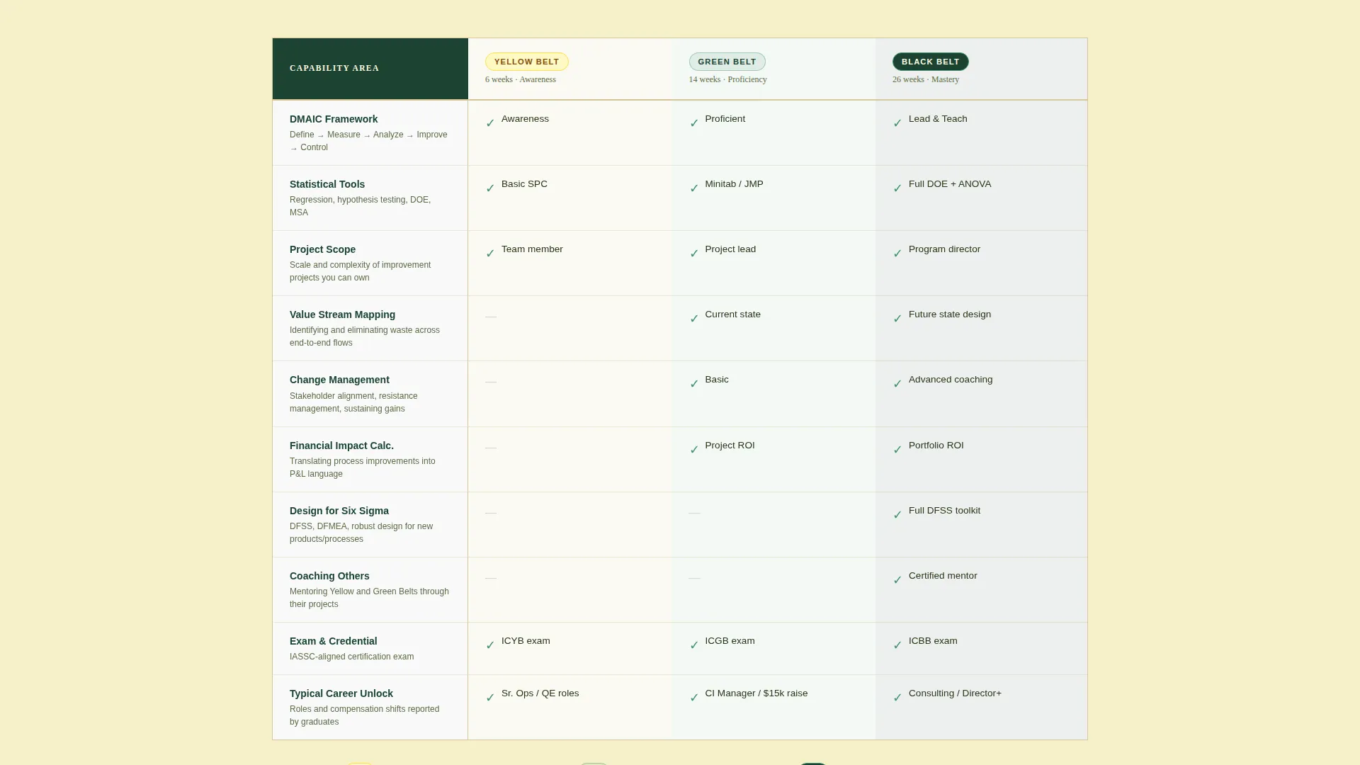 Lean Six Sigma Certification Landing Page Template