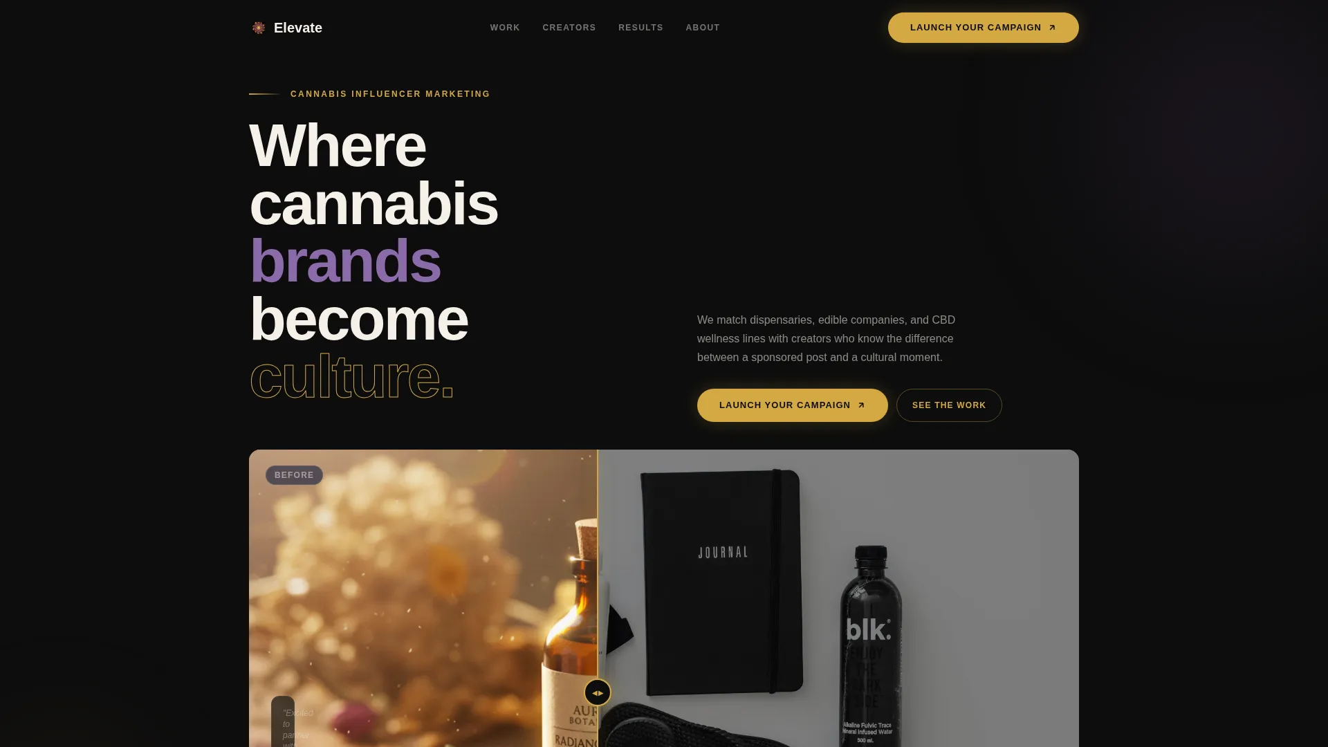 Cannabis Influencer Marketing Agency Landing Page
