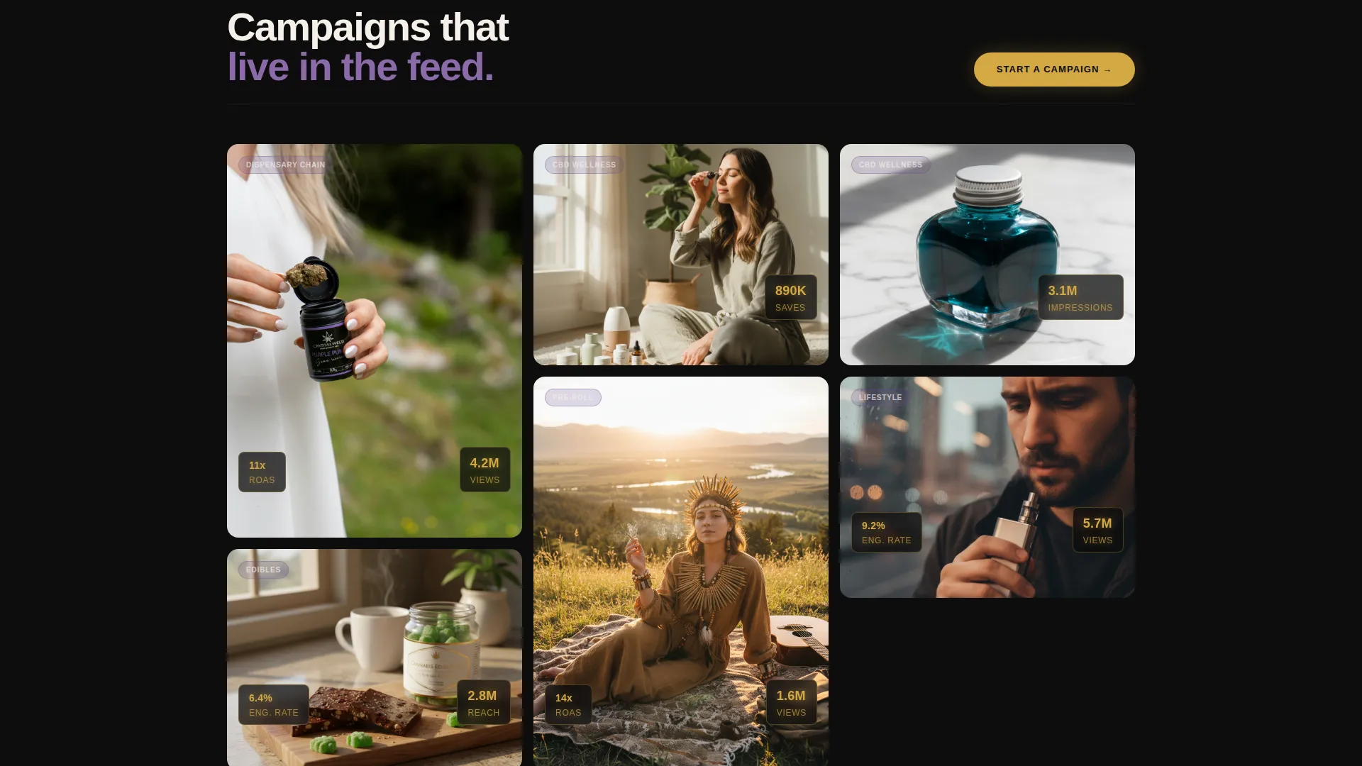 Cannabis Influencer Marketing Agency Landing Page