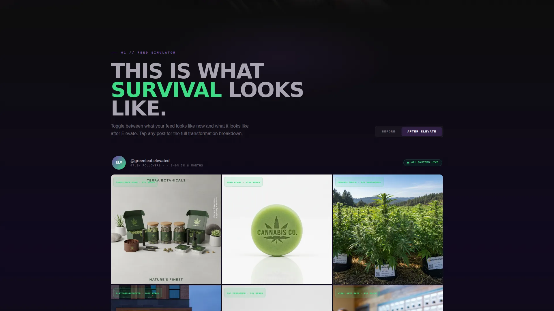 Cannabis Social Media Agency Landing Page Template