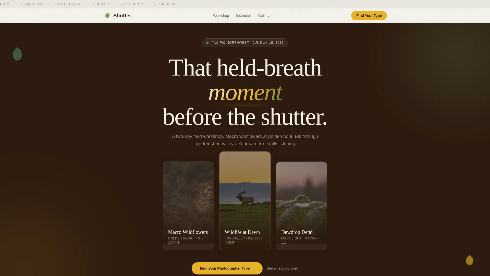 Outdoor & Adventure Education Advanced Professional Website Template