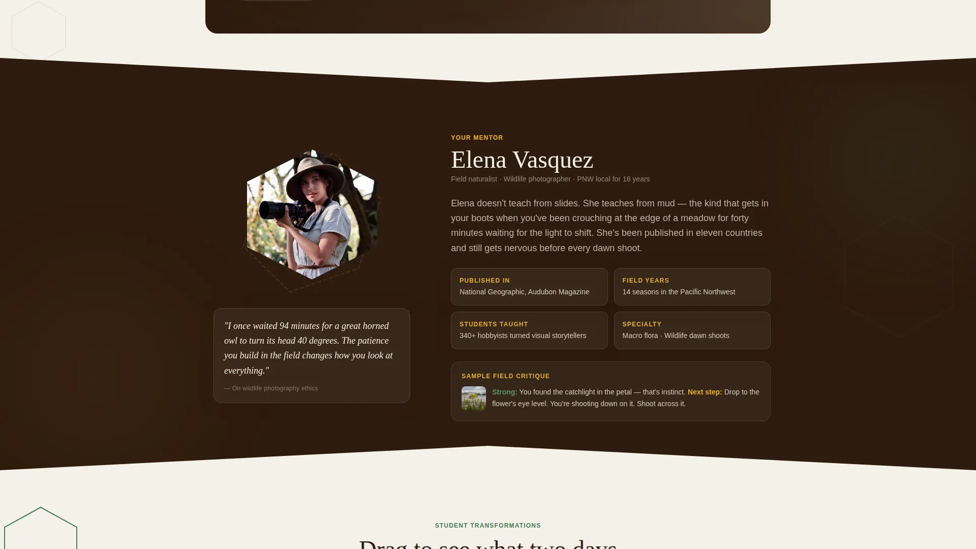 Outdoor & Adventure Education Advanced Professional Website Template