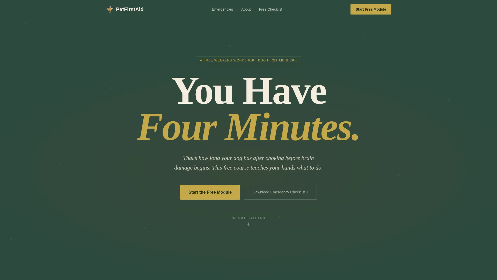 Specialized Certification & Programs Professional Website Template