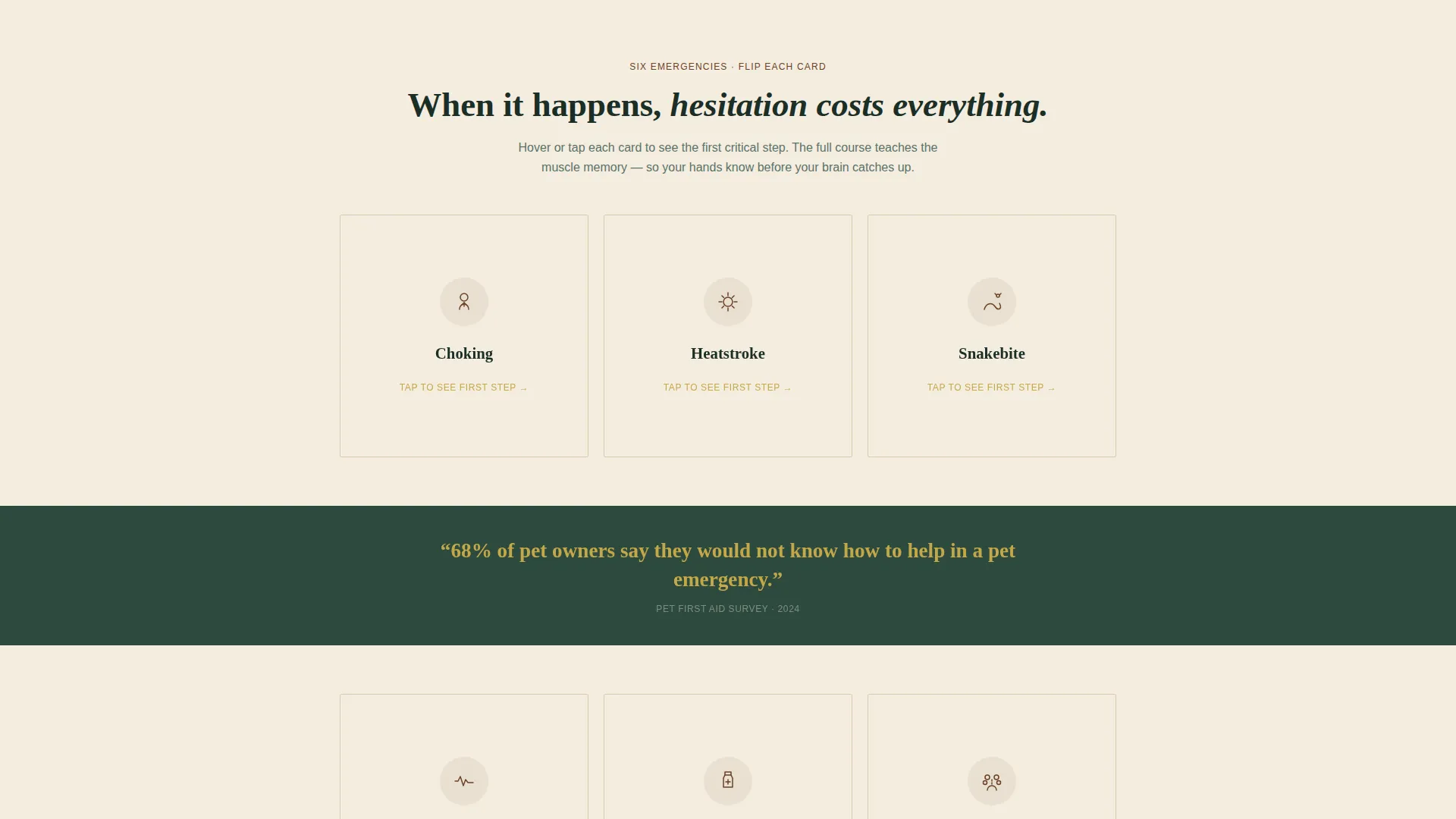 Specialized Certification & Programs Professional Website Template