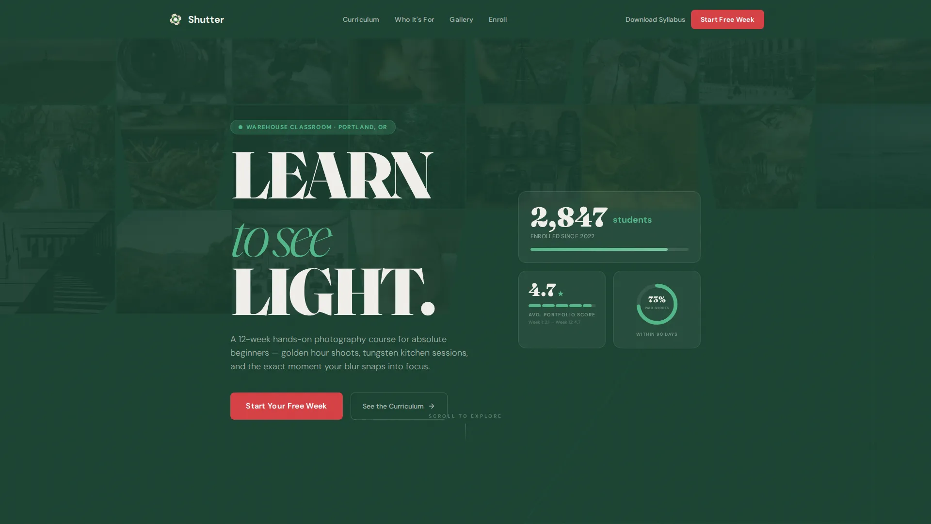 Art & Design School Professional Website Template