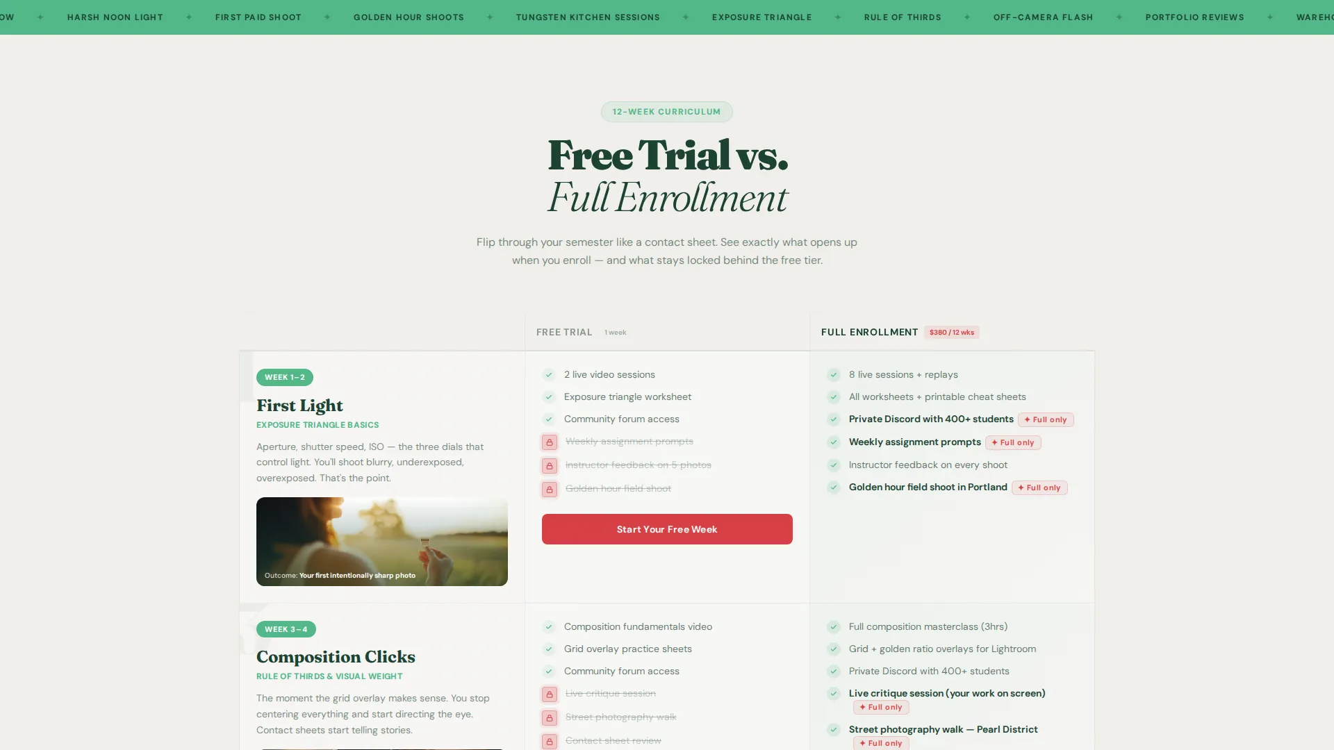 Art & Design School Professional Website Template