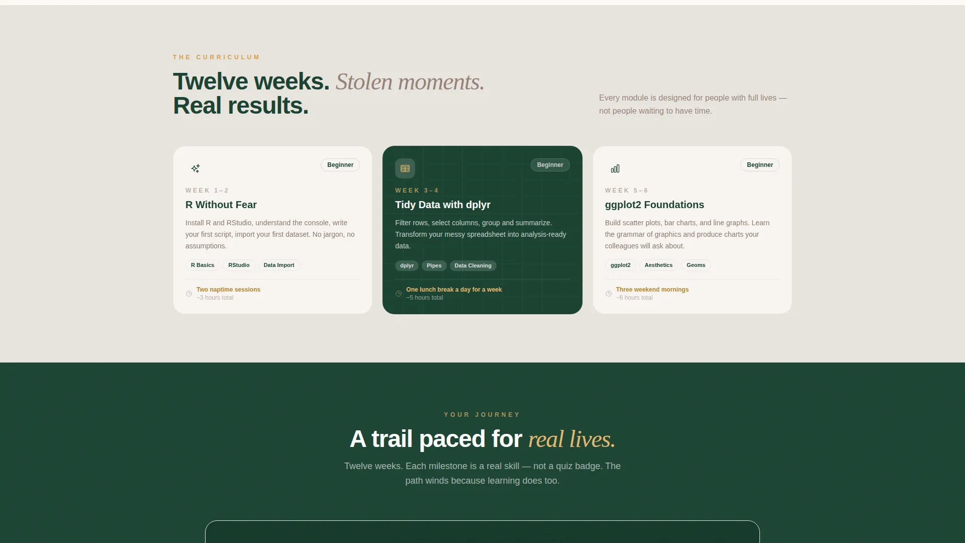 R Programming Course Landing Page Template