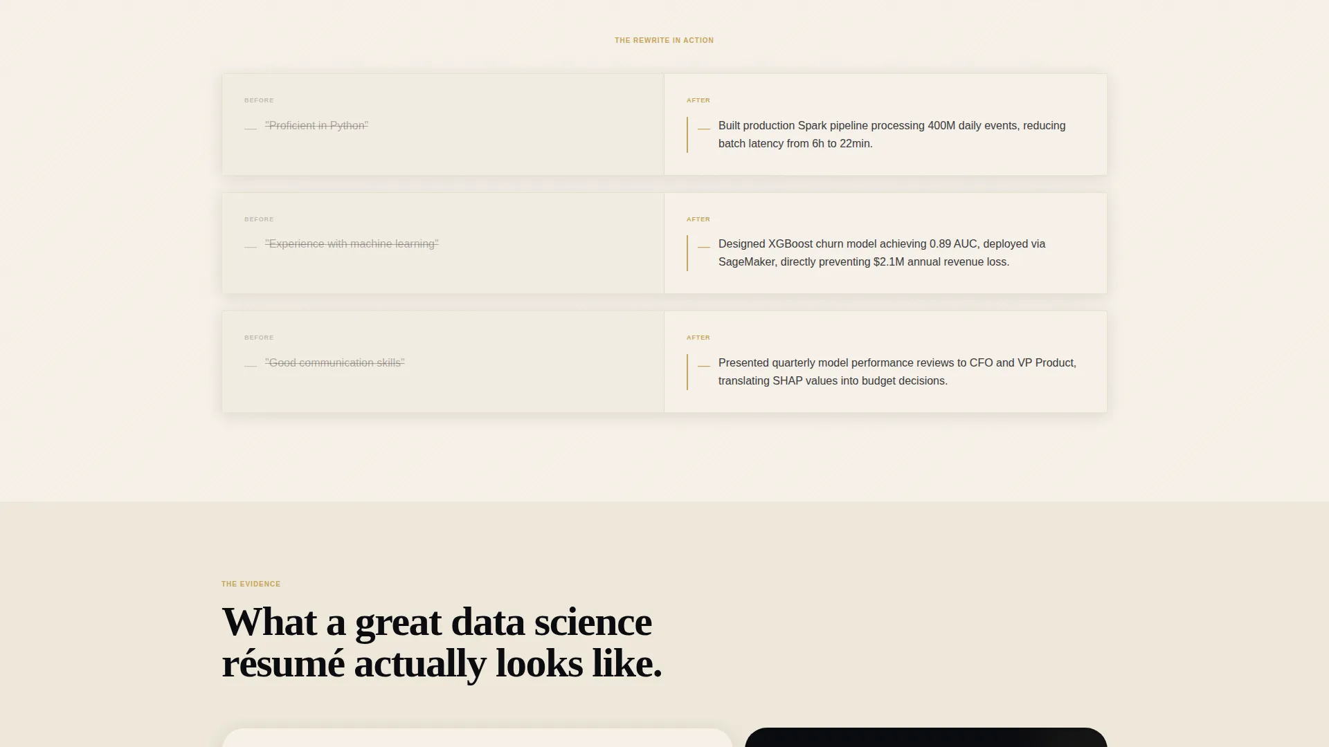 Data Scientist Profile Careers Website Template