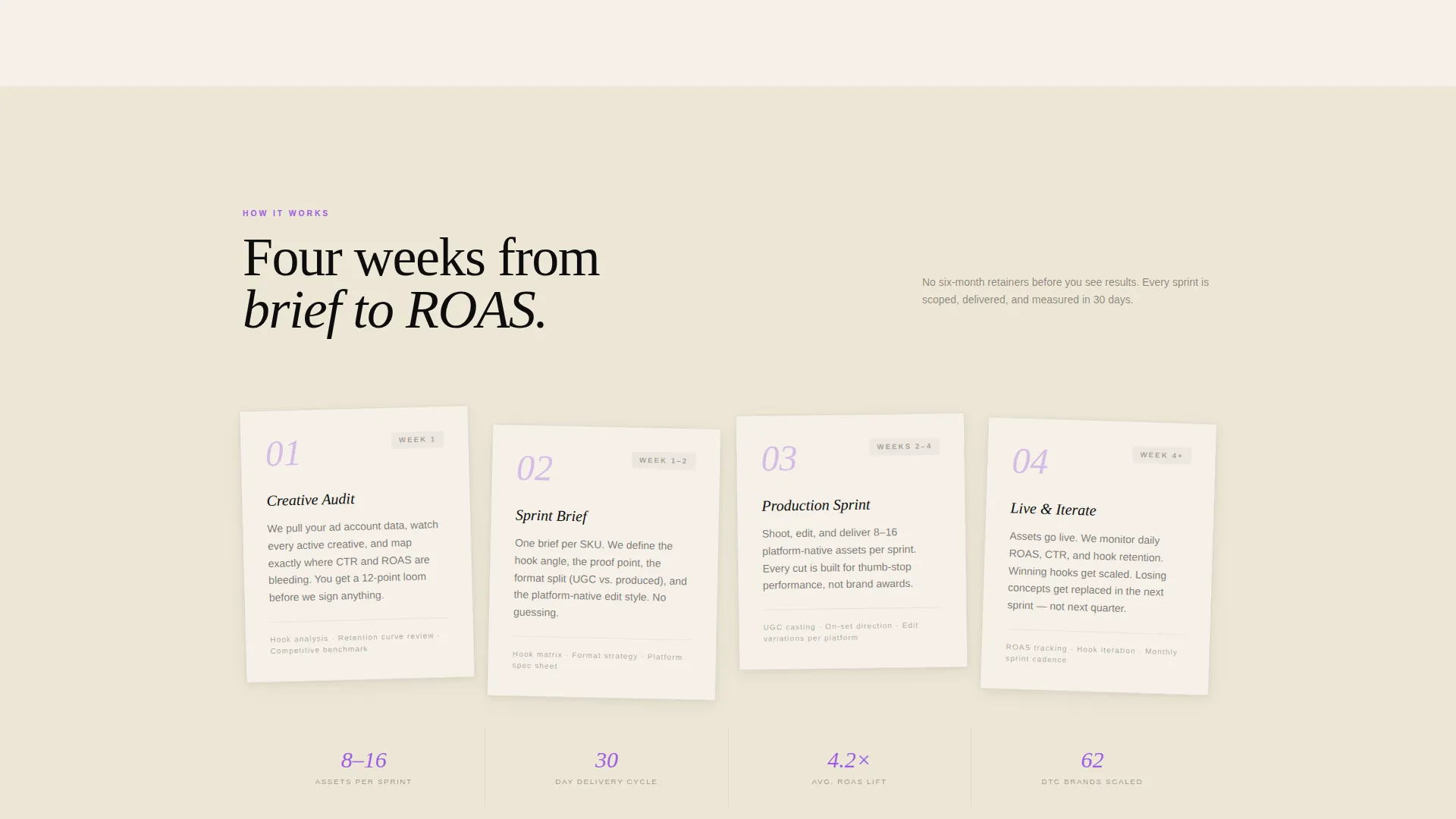 E-Commerce Marketing & Agency Specialist Portfolio Website Template