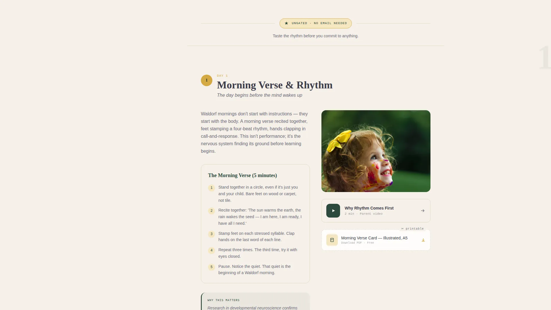 School (K-12) Patient Education Website Template