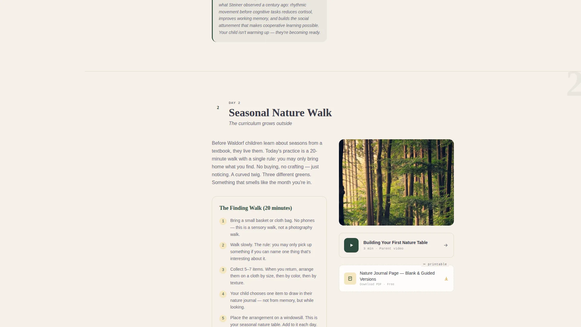 School (K-12) Patient Education Website Template