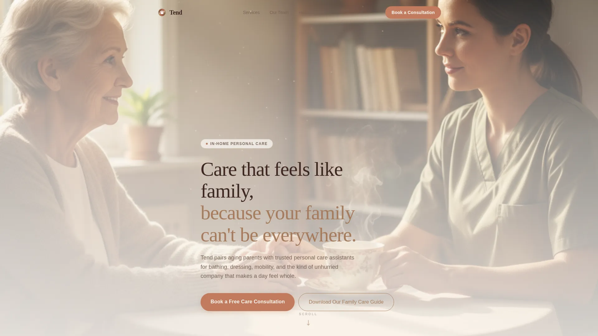 Personal Care Assistant Landing Page Template