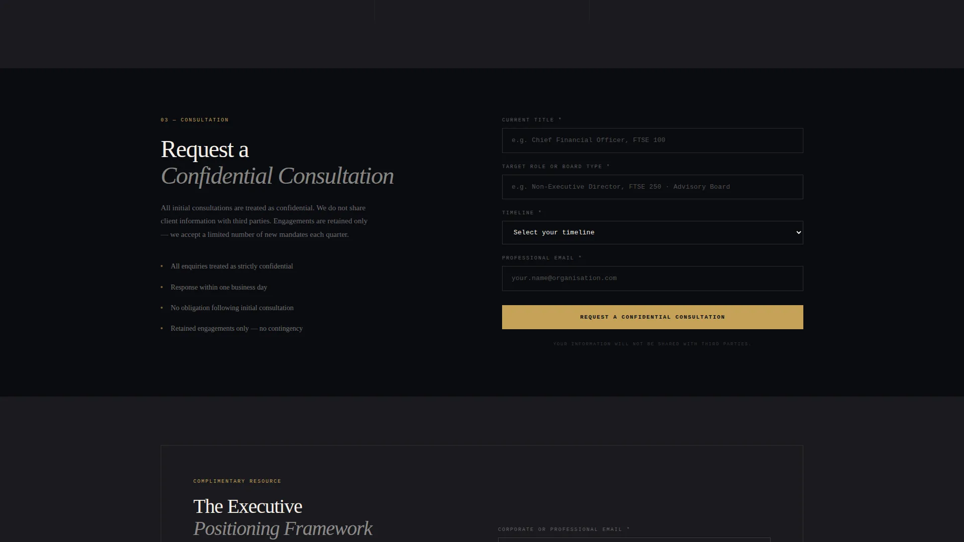Executive & C-Suite Career Careers Website Template