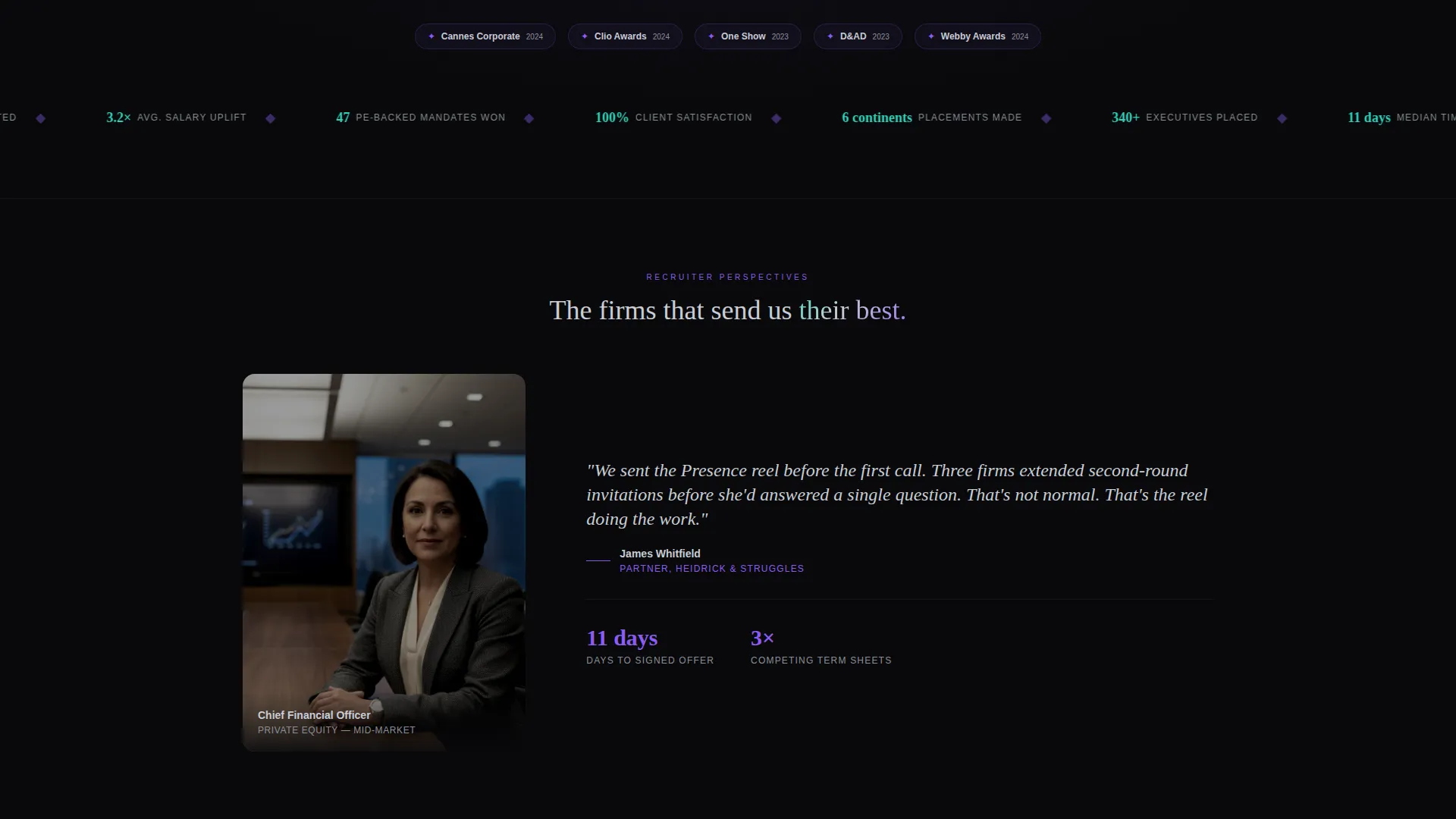 Executive & C-Suite Career Professional Website Template