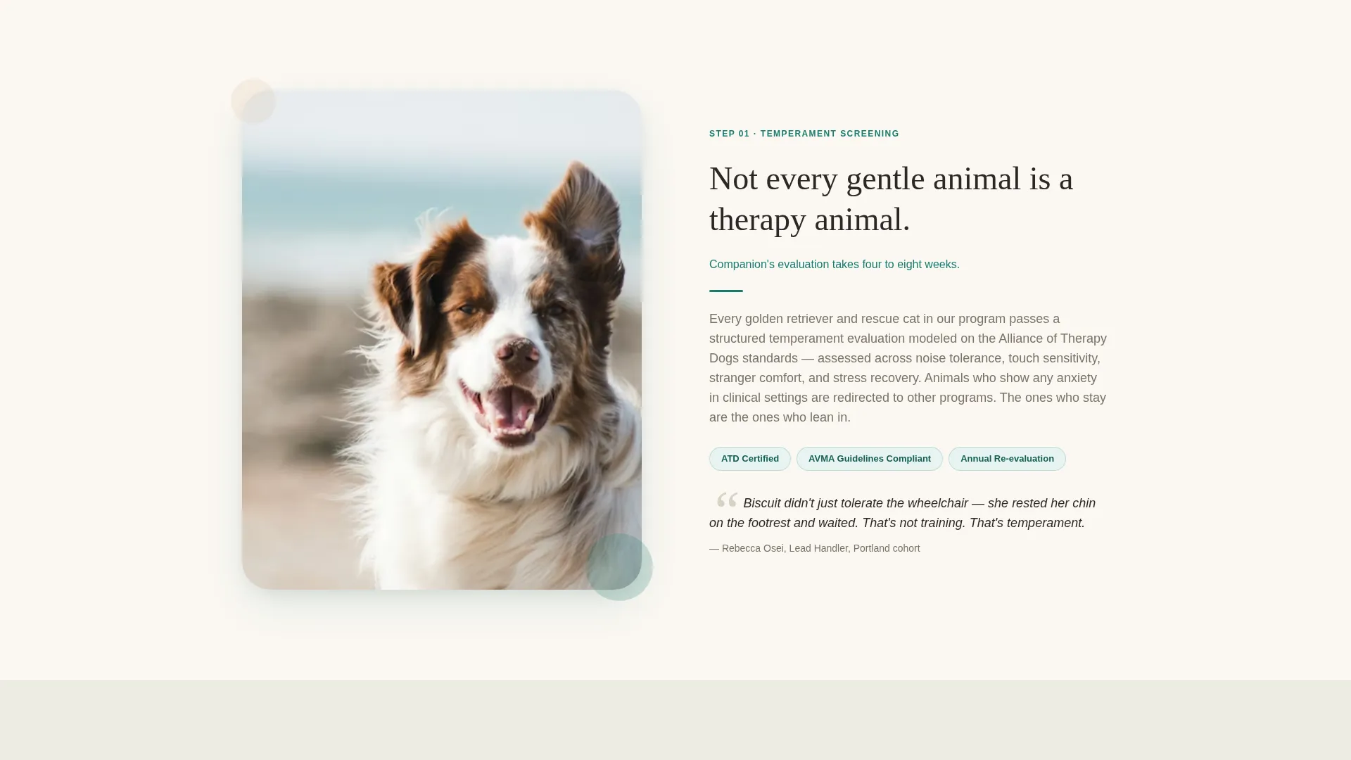 Senior Pet Therapy Landing Page Template