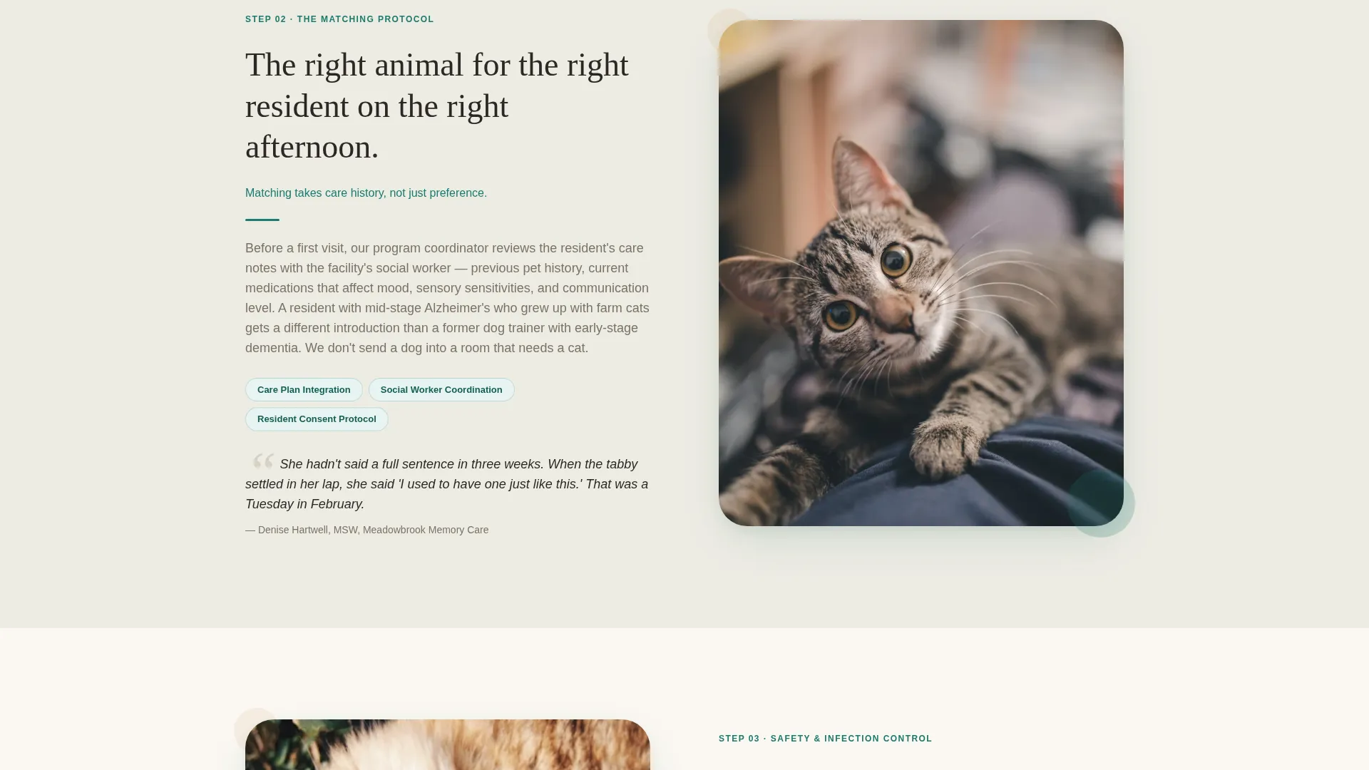 Senior Pet Therapy Landing Page Template