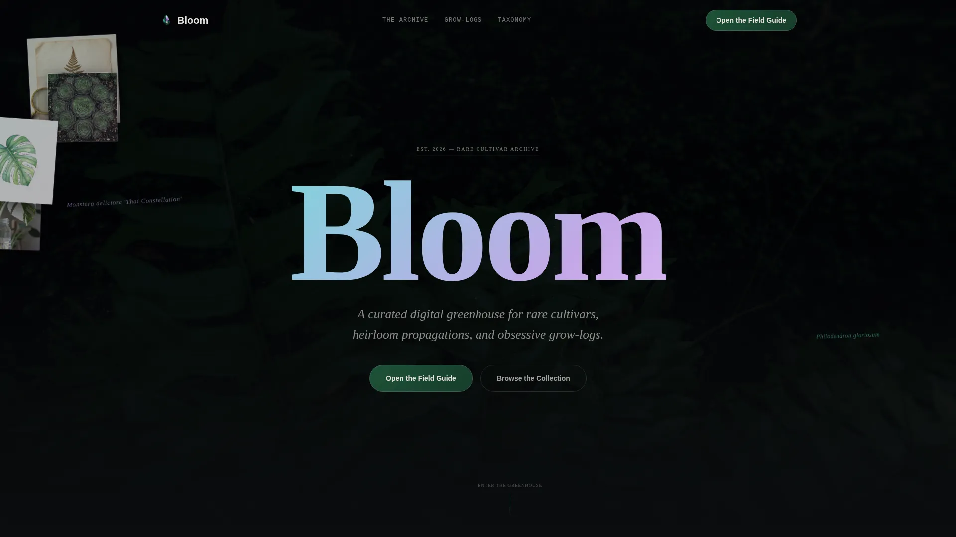 Specialist Side Project & Hobby Showcase Portfolio & Case Study Website Template