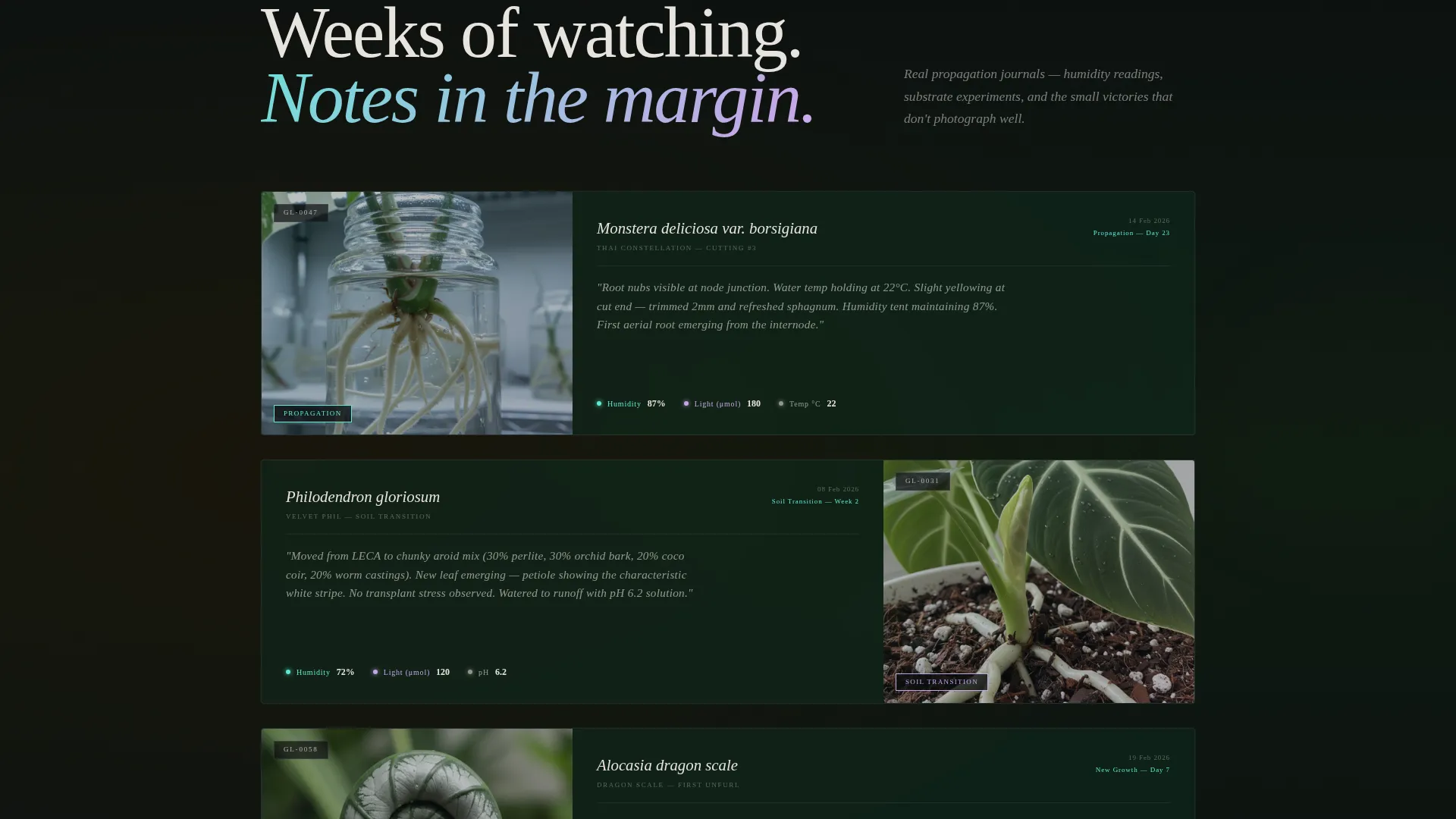 Specialist Side Project & Hobby Showcase Portfolio & Case Study Website Template