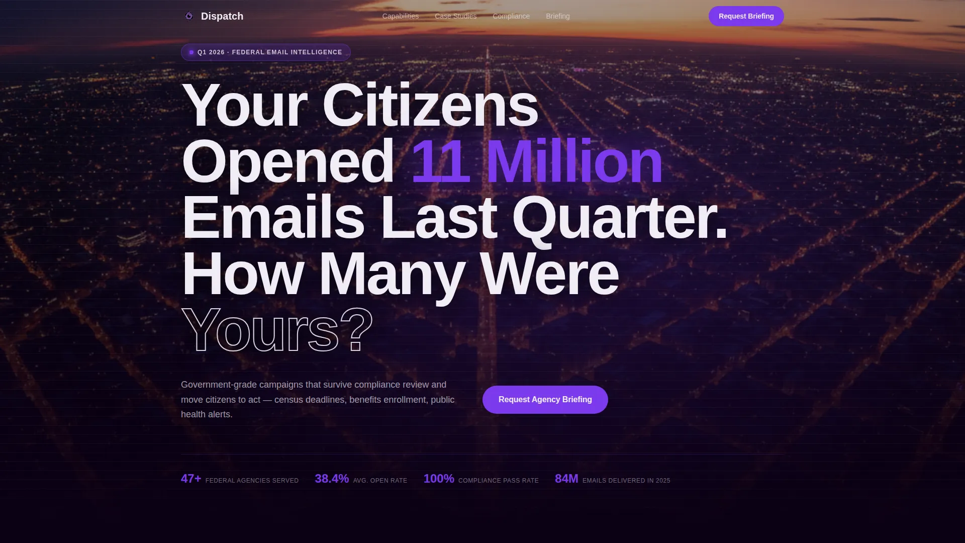 Government Email Marketing Agency Landing Page