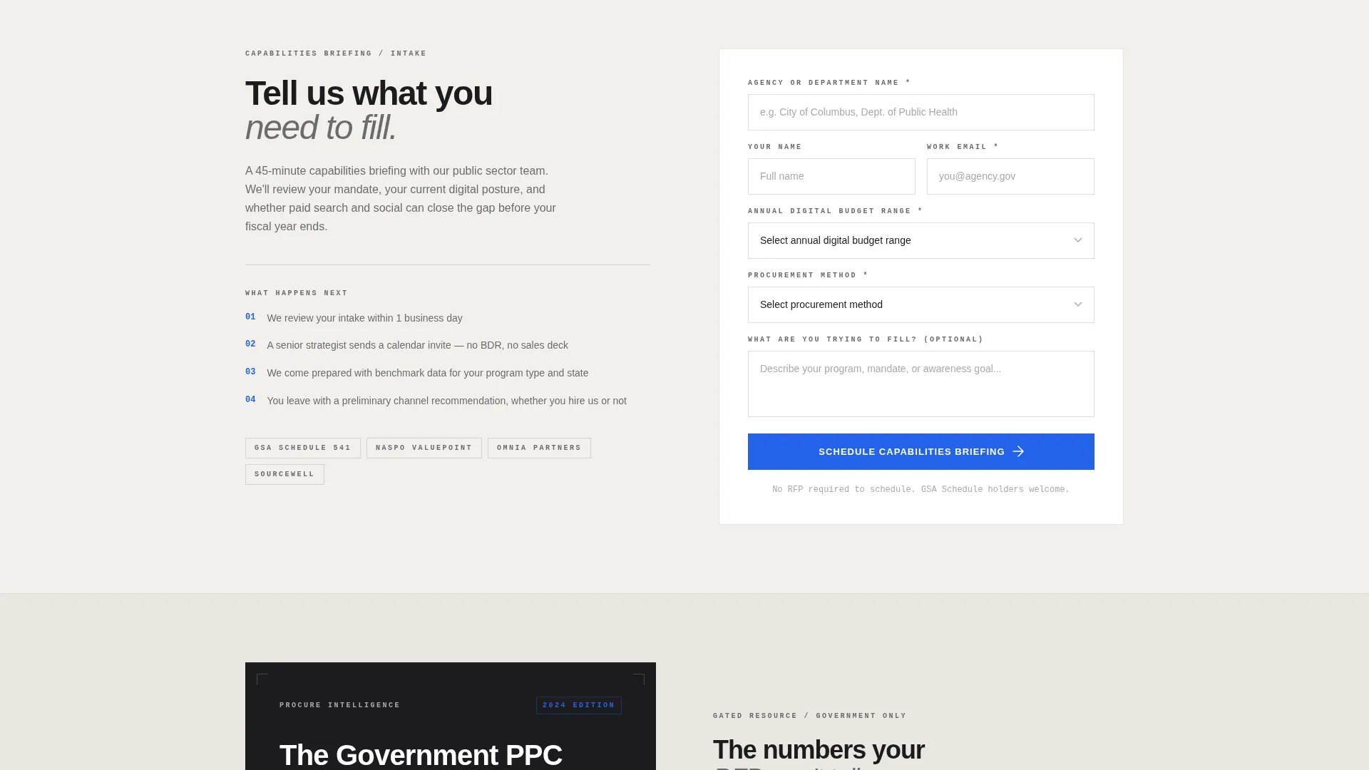 Government PPC Agency Landing Page Template