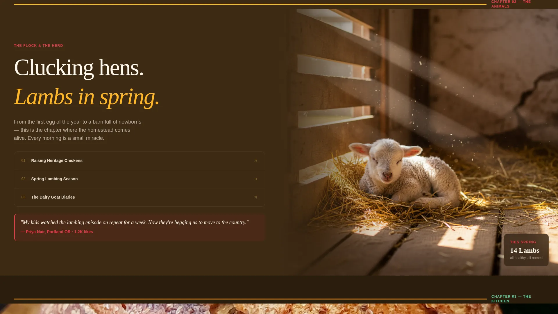 Cinematic Farm Vlog Landing Page Template