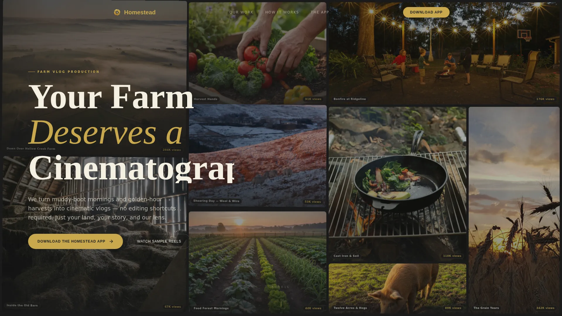 Farm & Homestead Vlog Production Landing Page