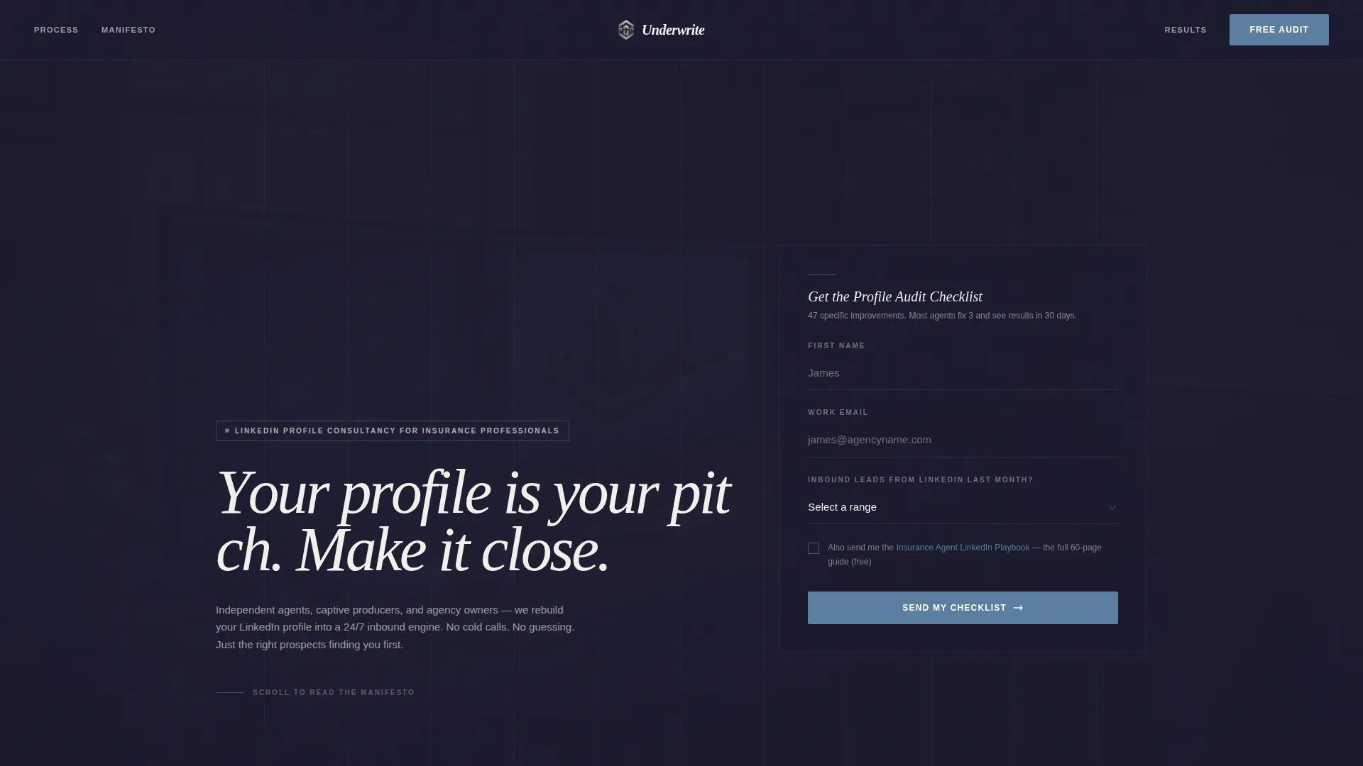 Insurance Agent Profile Professional Website Template