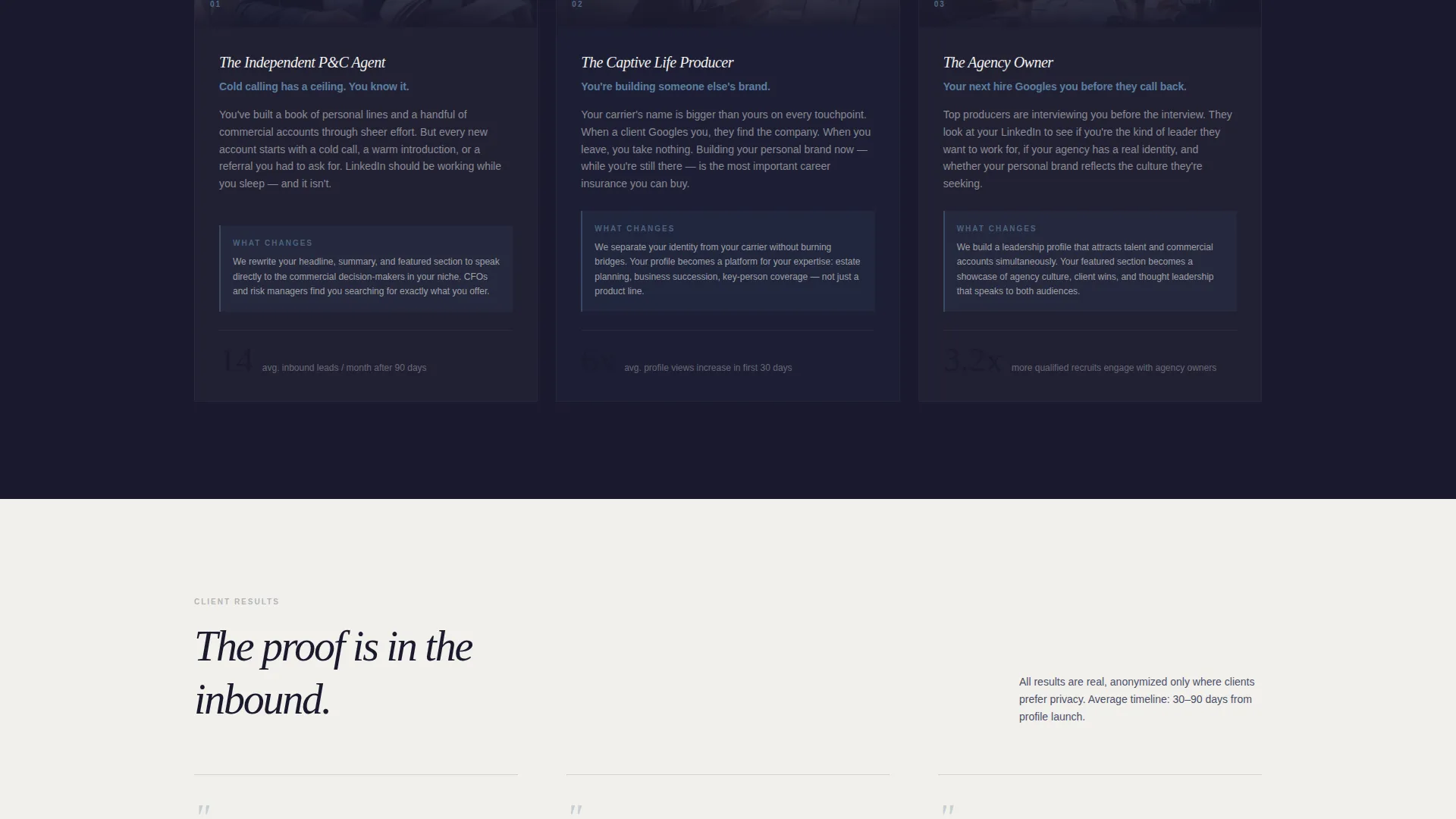 Insurance Agent Profile Professional Website Template