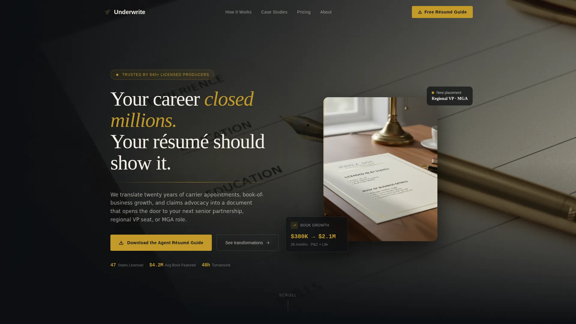 Insurance Agent Professional Résumé Landing Page