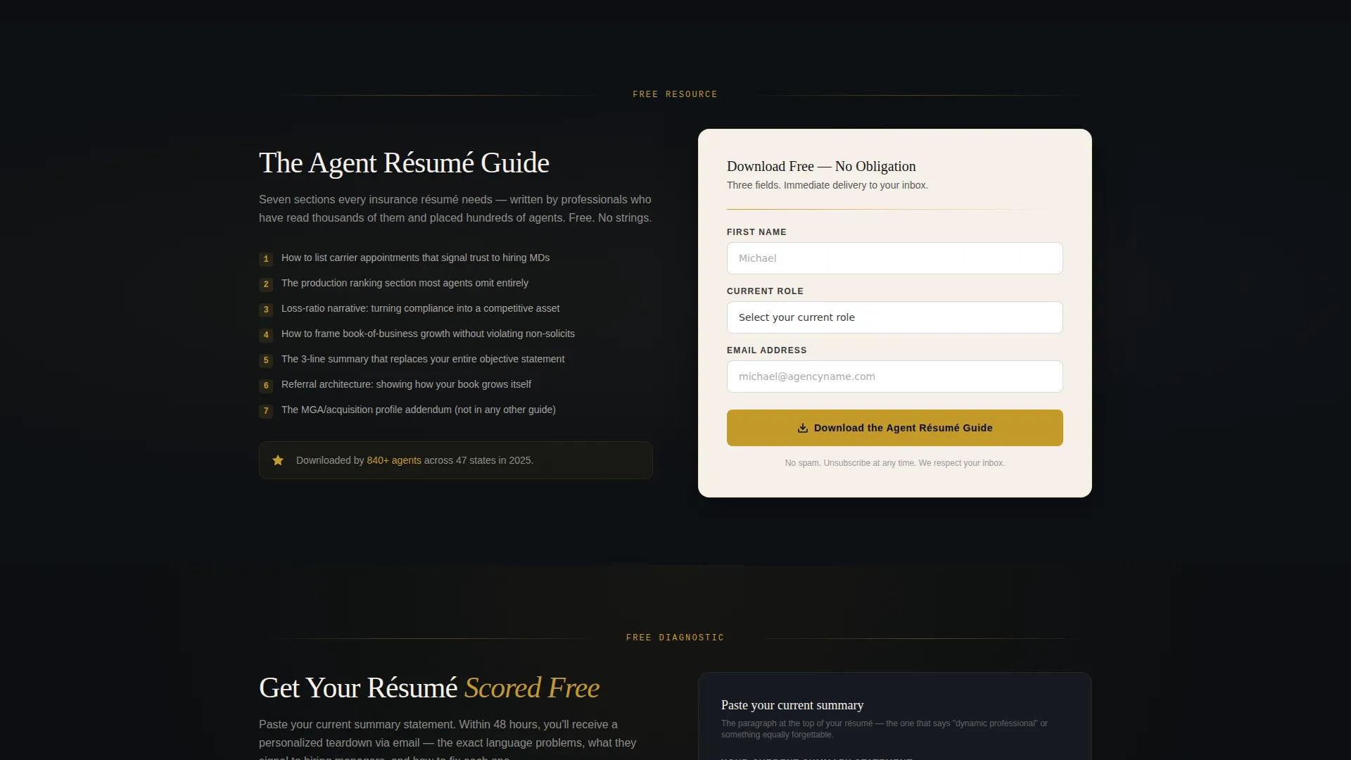 Insurance Agent Professional Résumé Landing Page
